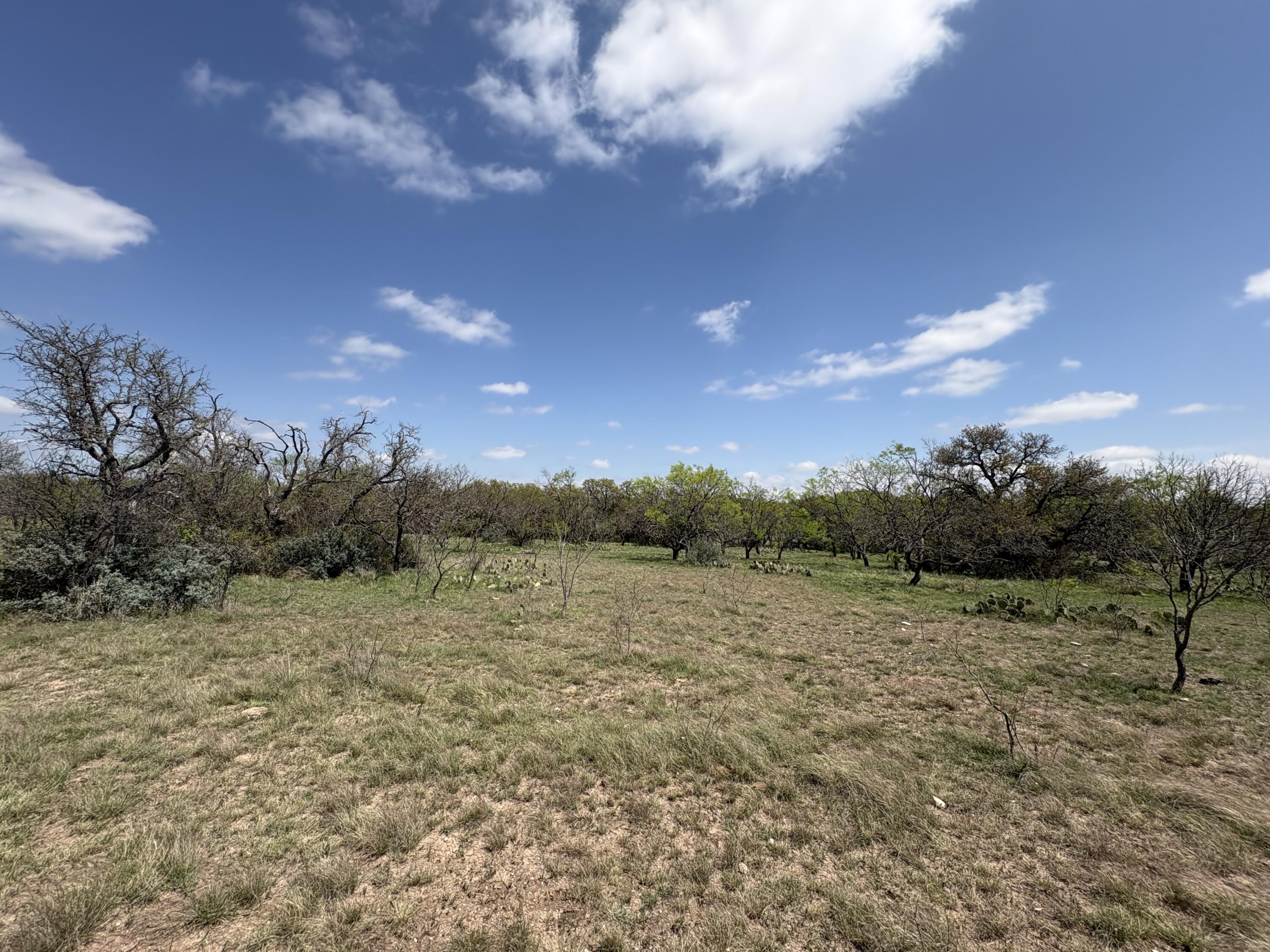 0 Elm Spgs Trail Property Photo 13