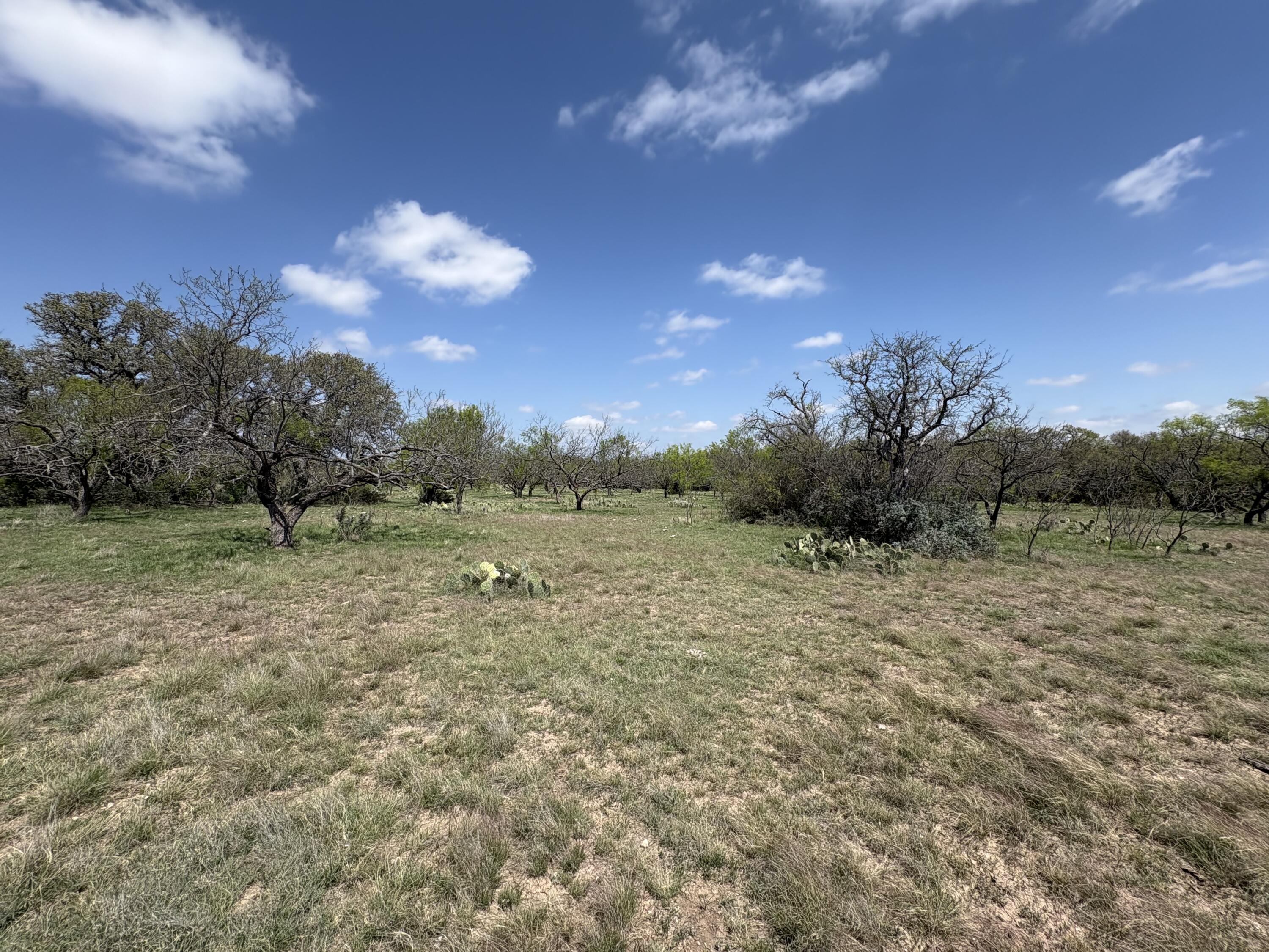 0 Elm Spgs Trail Property Photo 14