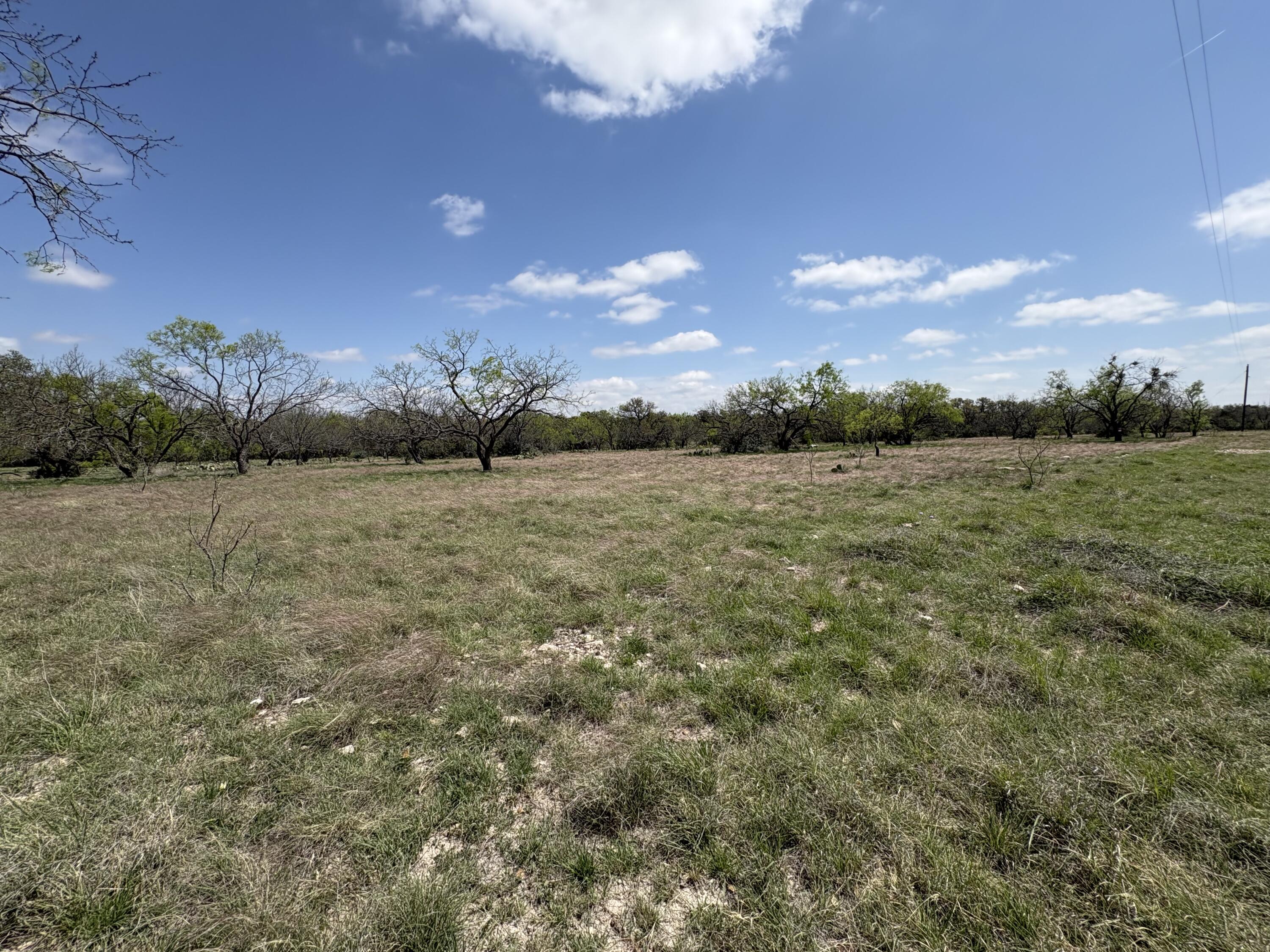 0 Elm Spgs Trail Property Photo 15