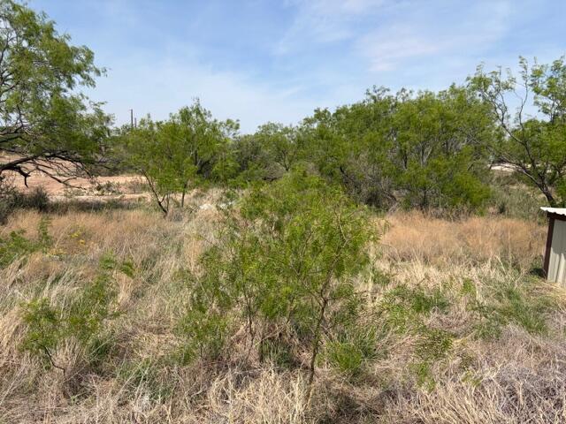 1218 Stone Ledge Lane Property Photo 1