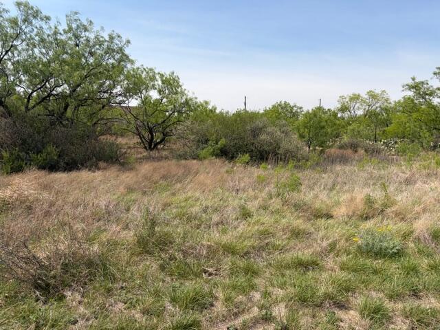 1218 Stone Ledge Lane Property Photo 3