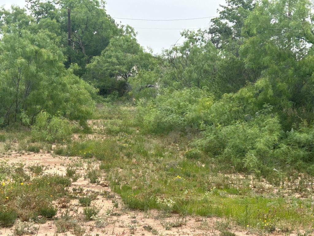 0 E Railroad Street Street Property Photo 2