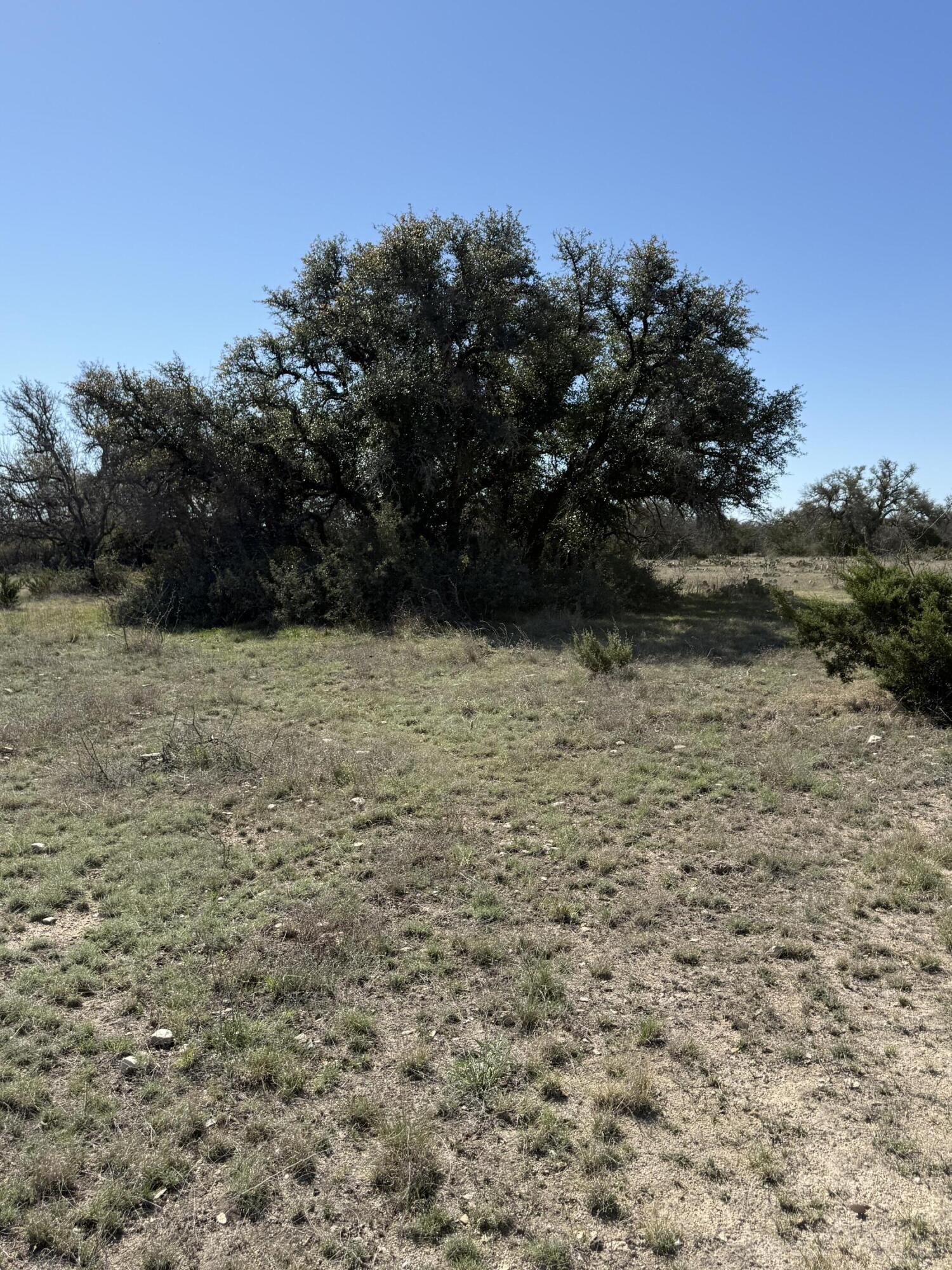 713 Persimmon Road Property Photo 2