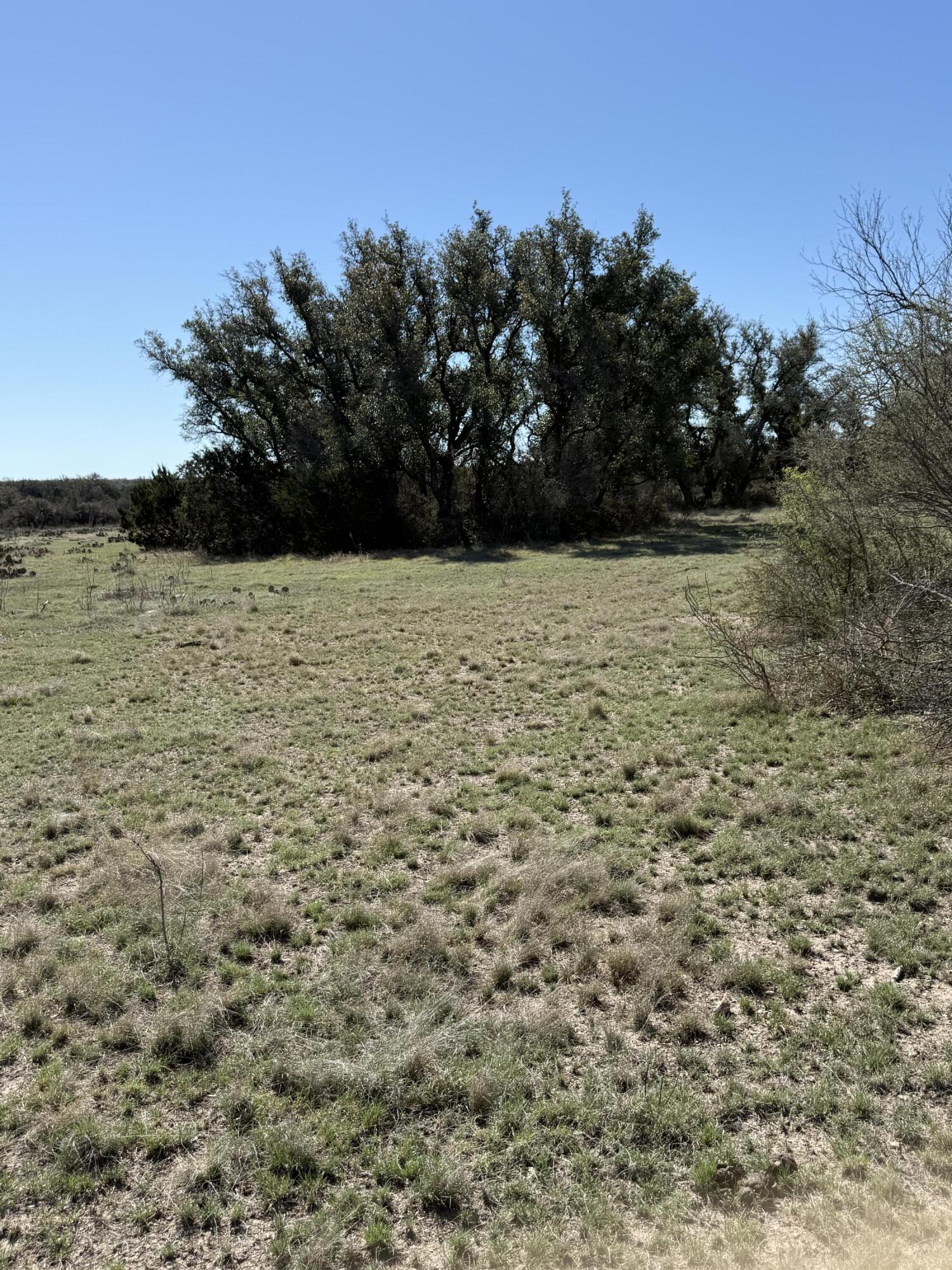 713 Persimmon Road Property Photo 3