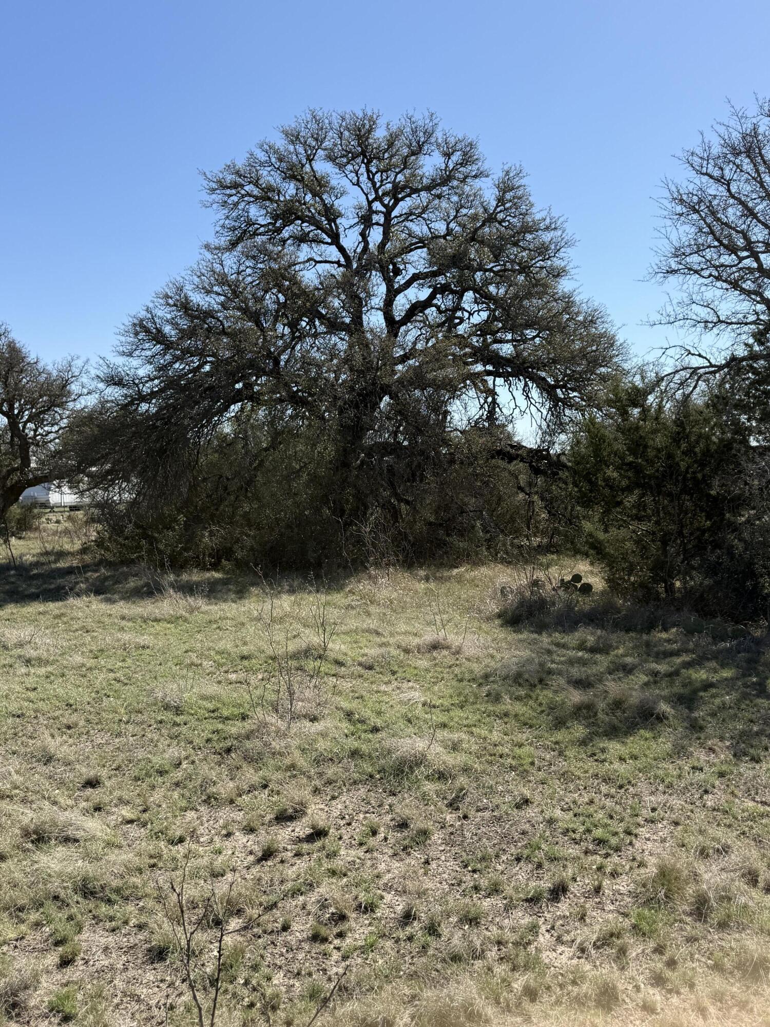 713 Persimmon Road Property Photo 4