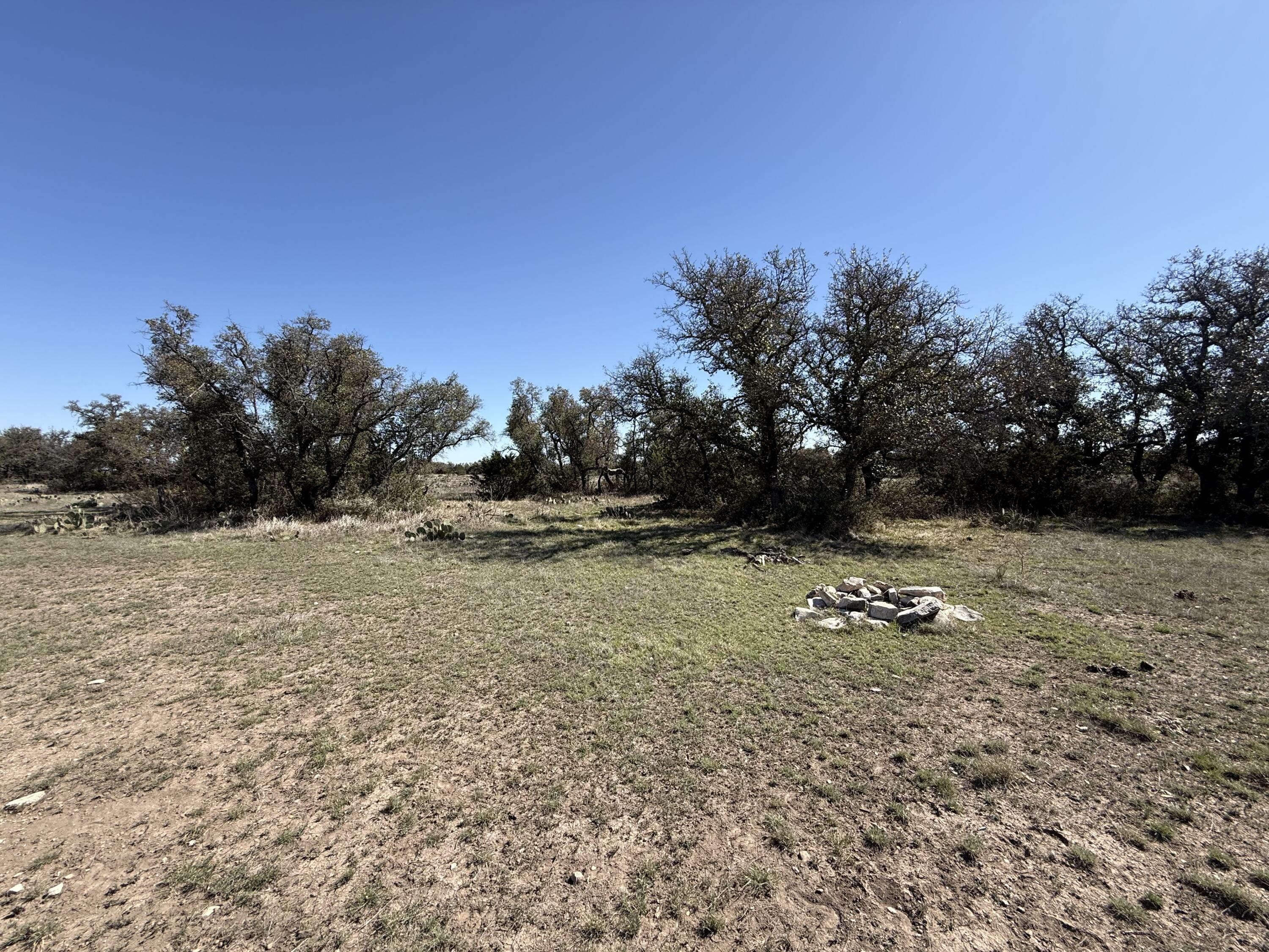 713 Persimmon Road Property Photo 7