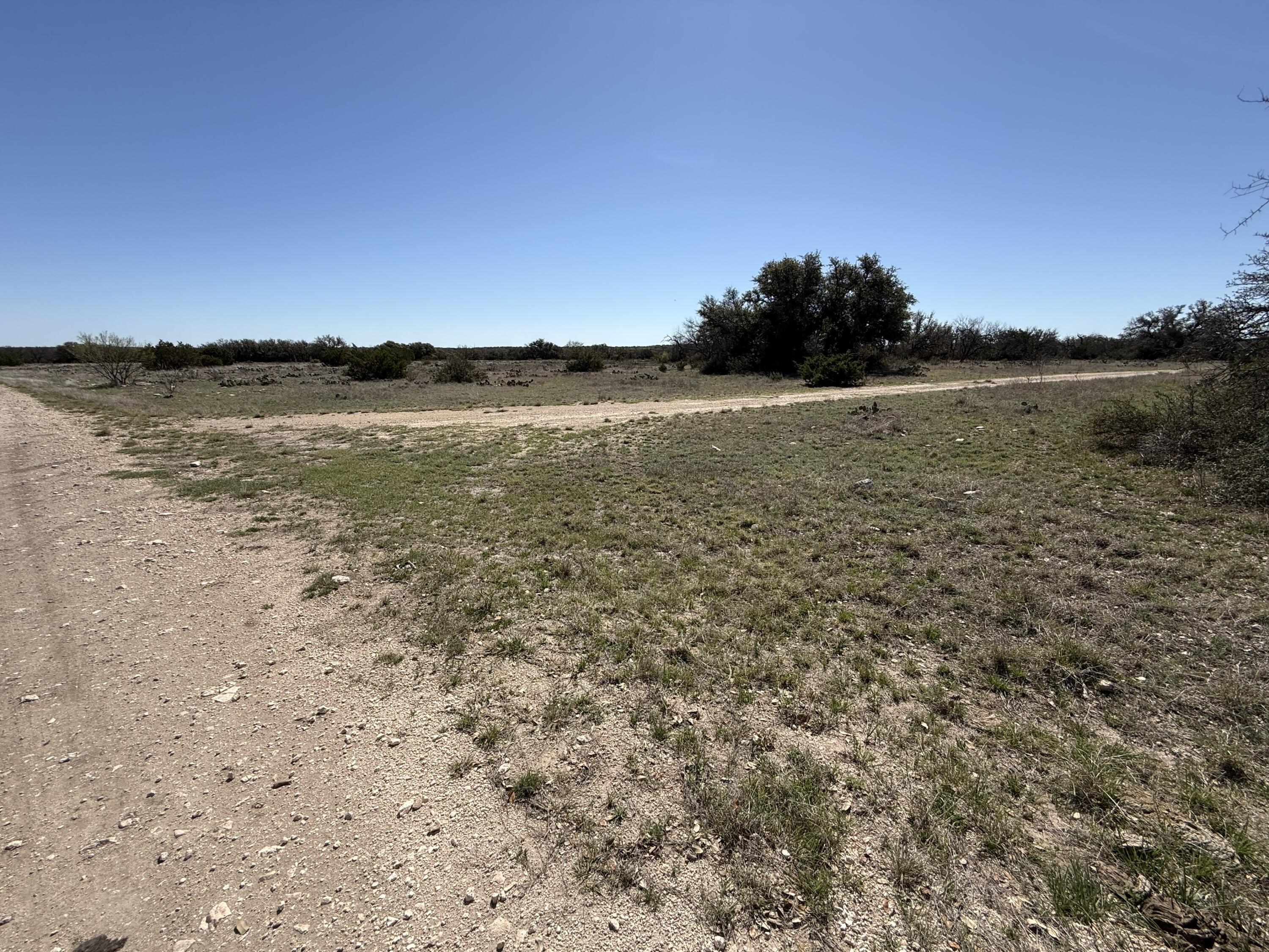 713 Persimmon Road Property Photo 10