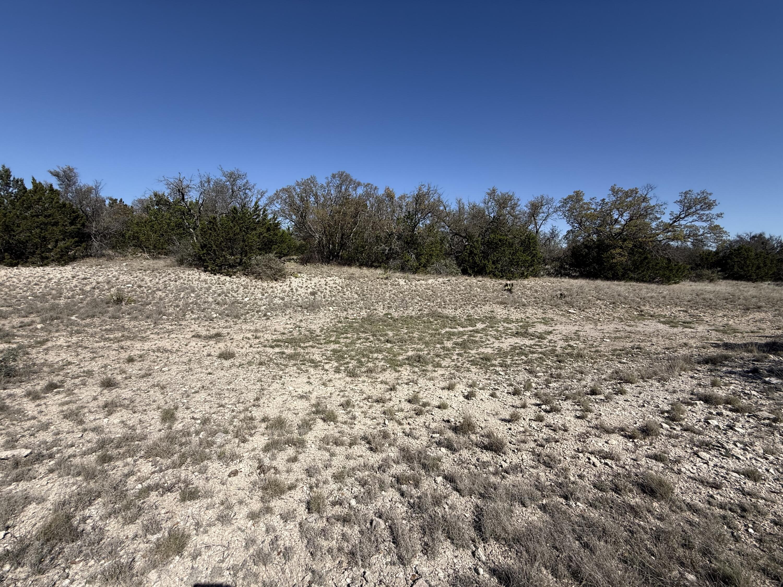 713 Persimmon Road Property Photo 13