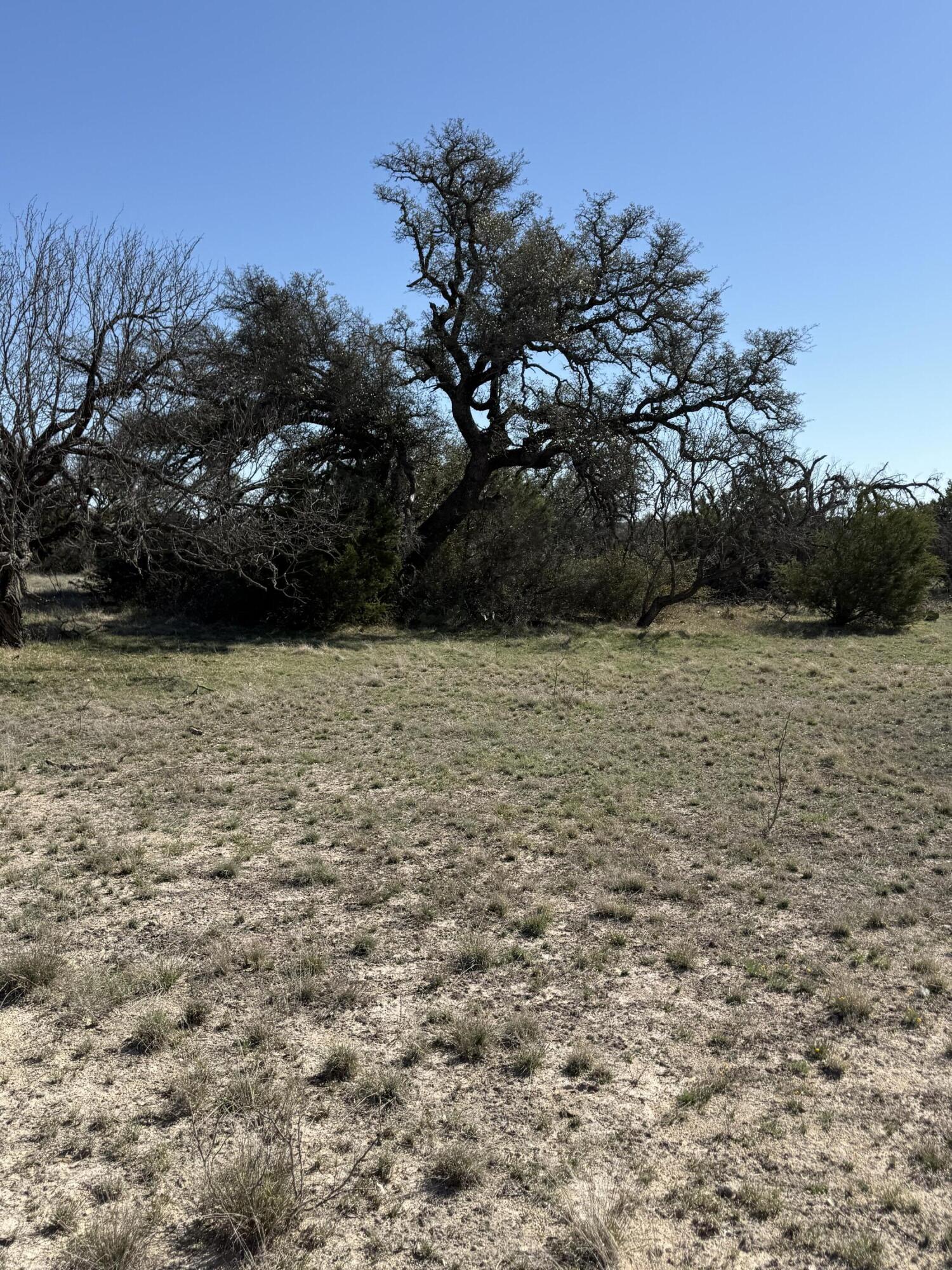713 Persimmon Road Property Photo 15