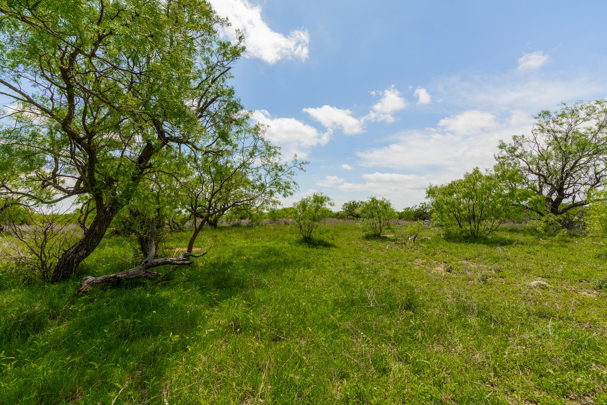 817 County Road 130 Property Photo 51