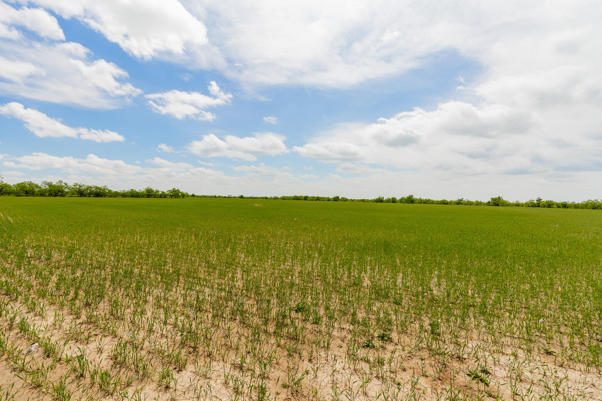 817 County Road 130 Property Photo 55