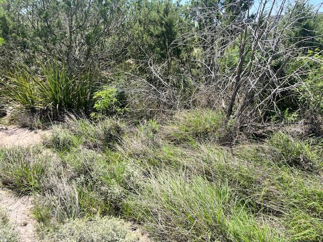 . Deer Run Road Property Photo 8