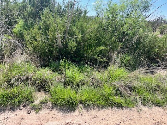 . Deer Run Road Property Photo 11