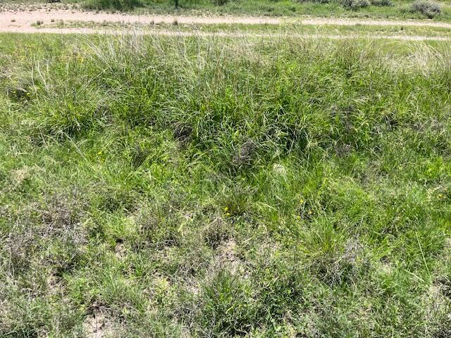 . Deer Run Road Property Photo 12