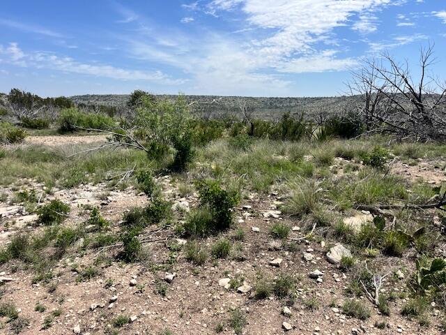 . Deer Run Road Property Photo 33