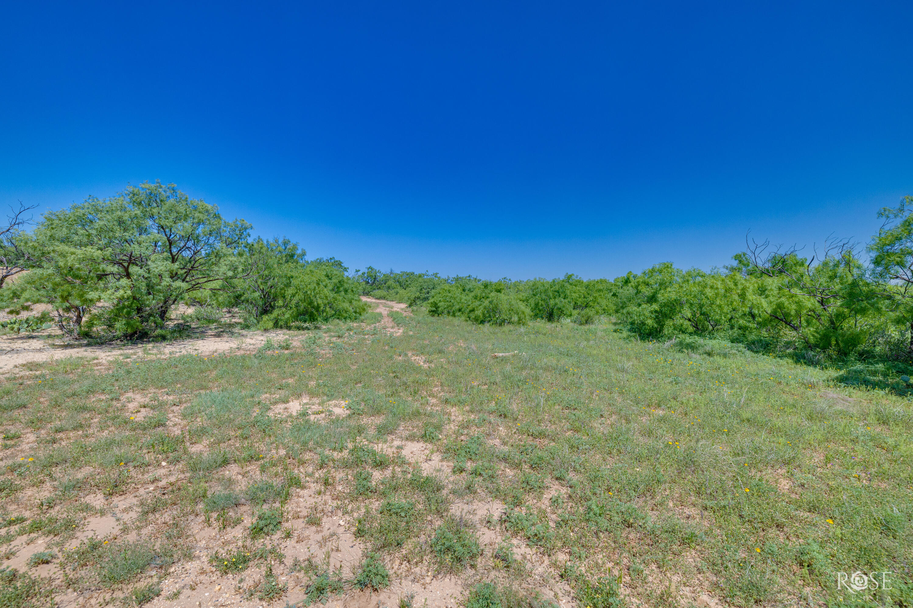 9900 Fm503 Property Photo 23