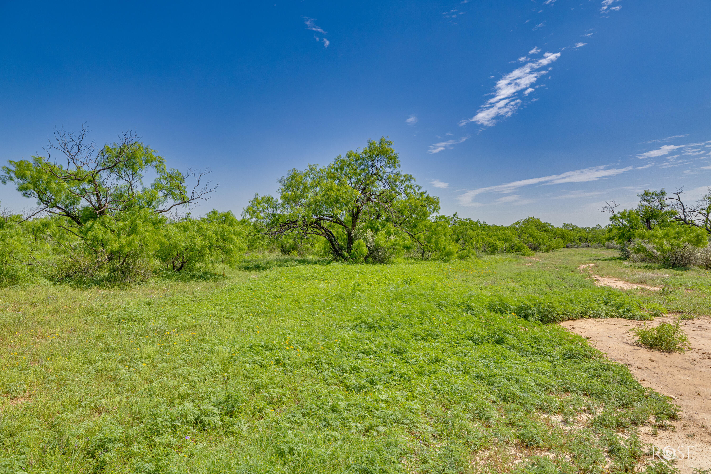 9900 Fm503 Property Photo 24