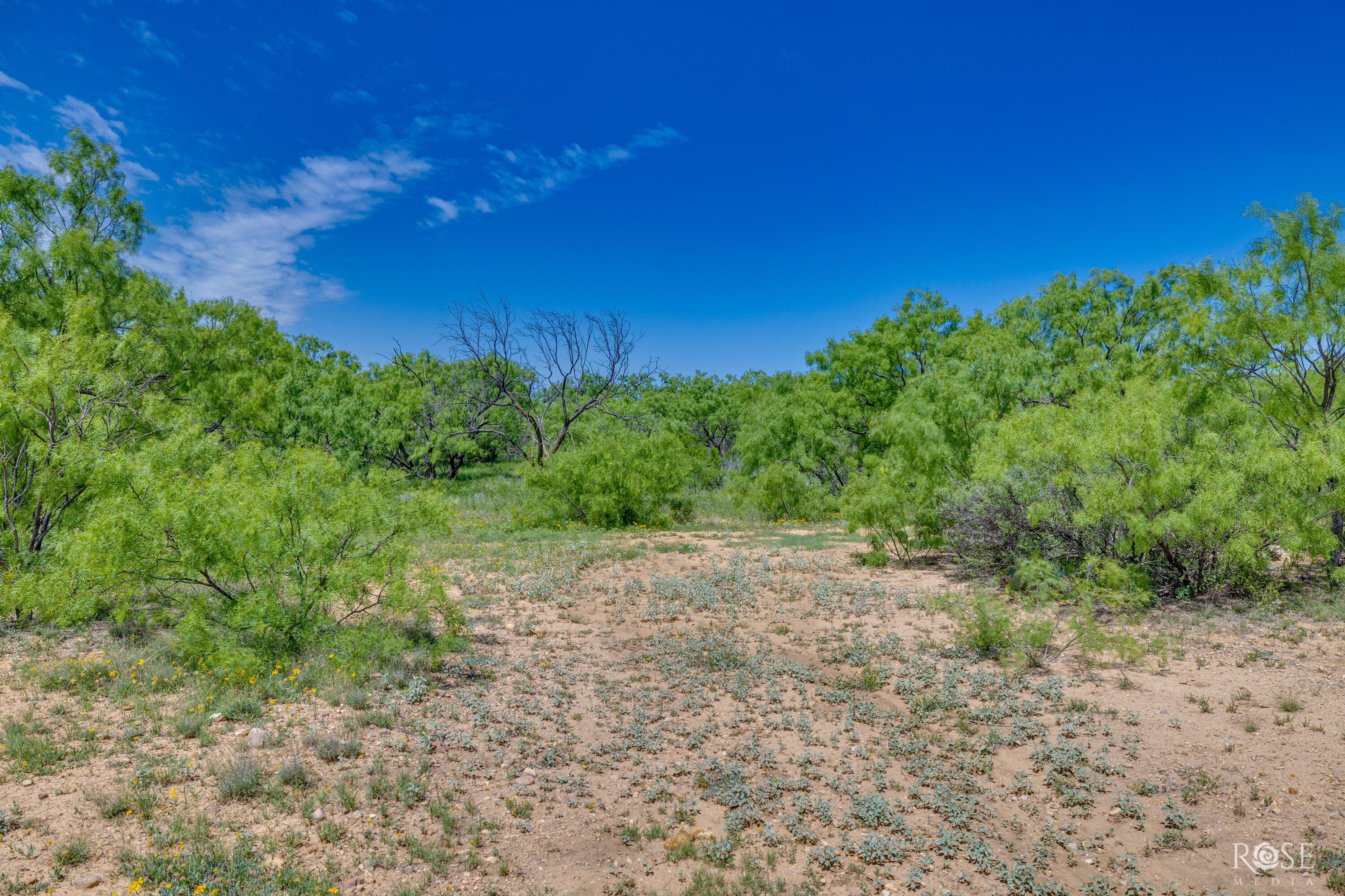 9900 Fm503 Property Photo 27