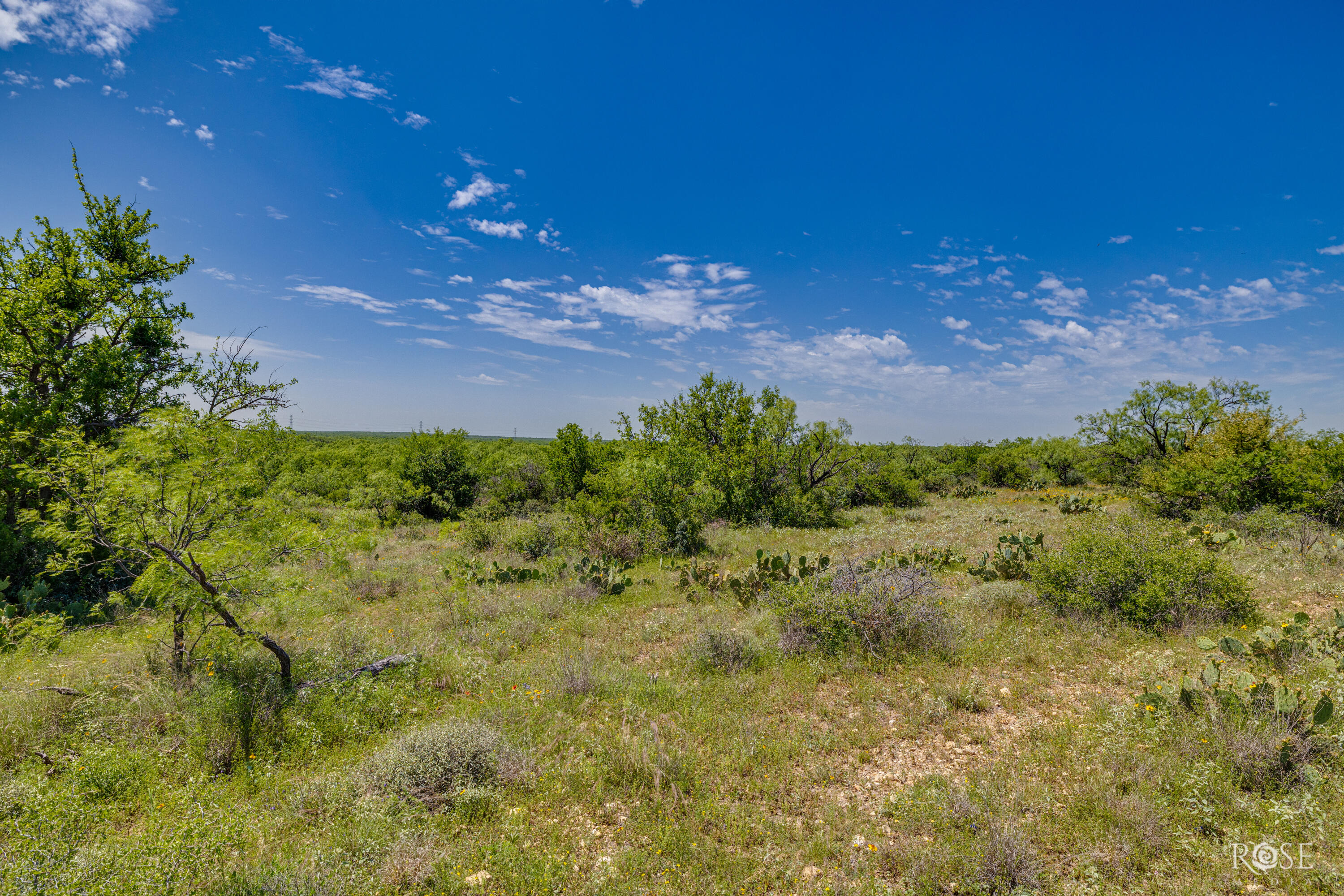 9900 Fm503 Property Photo 29