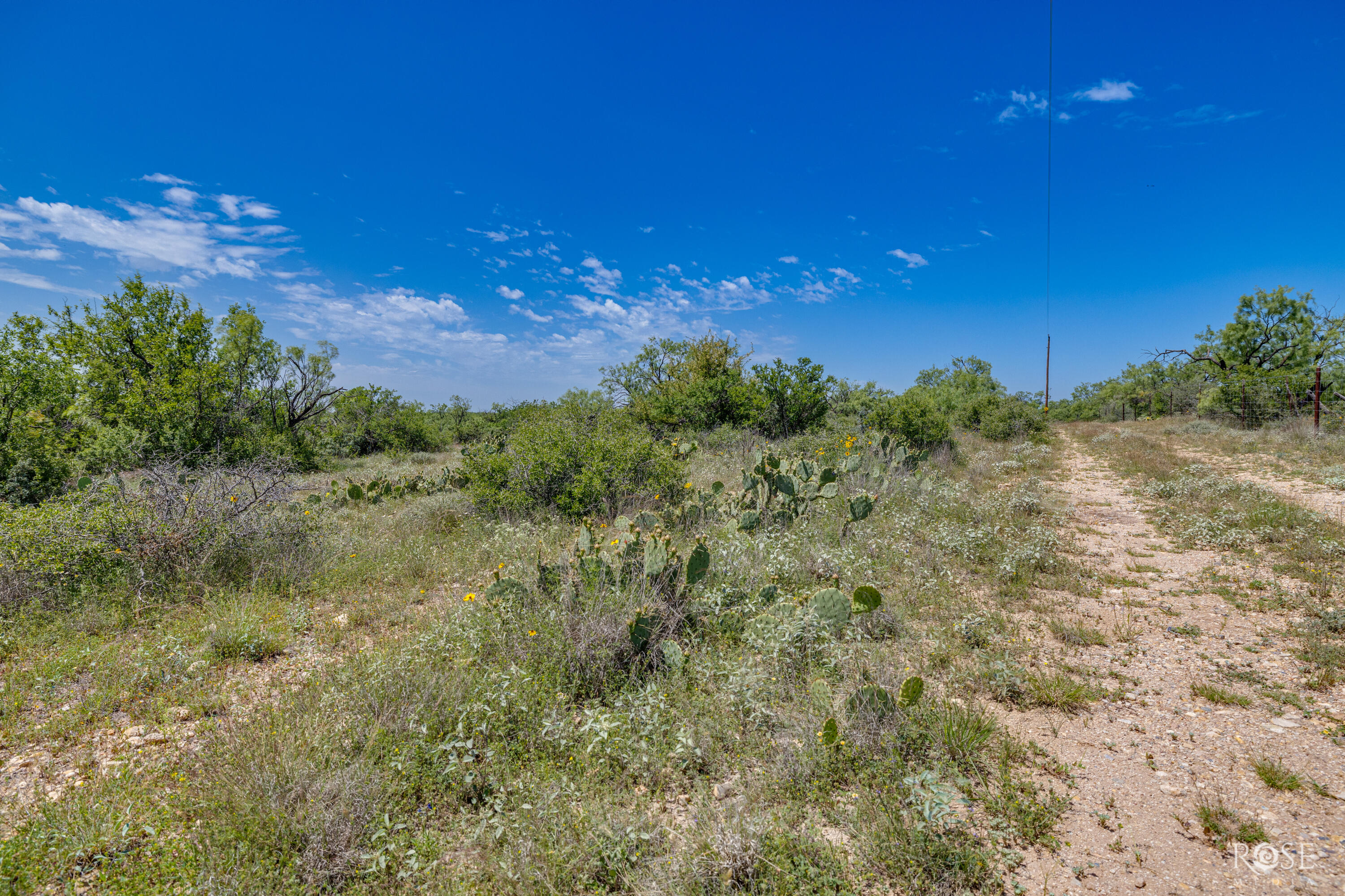 9900 Fm503 Property Photo 30