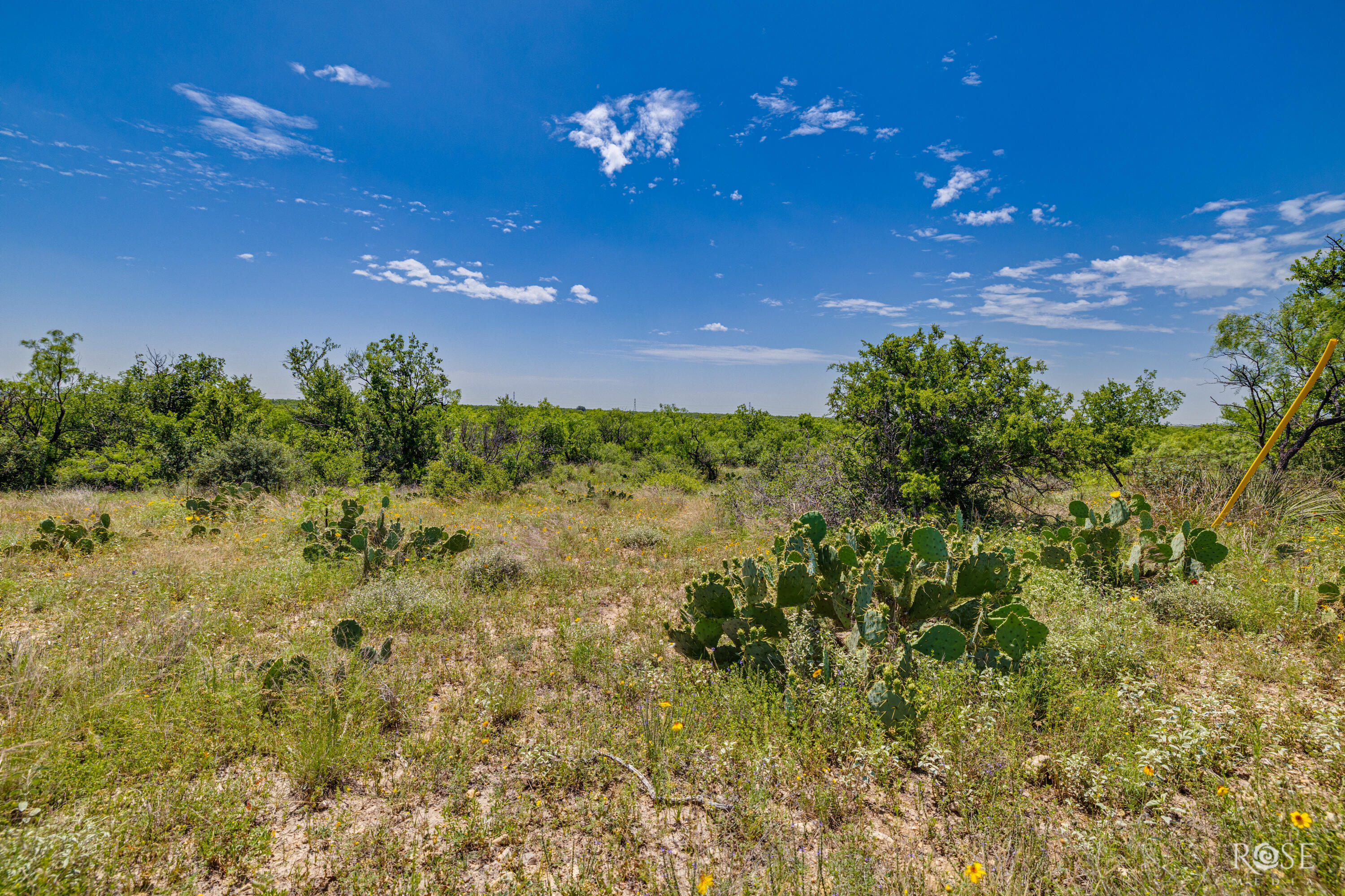 9900 Fm503 Property Photo 31