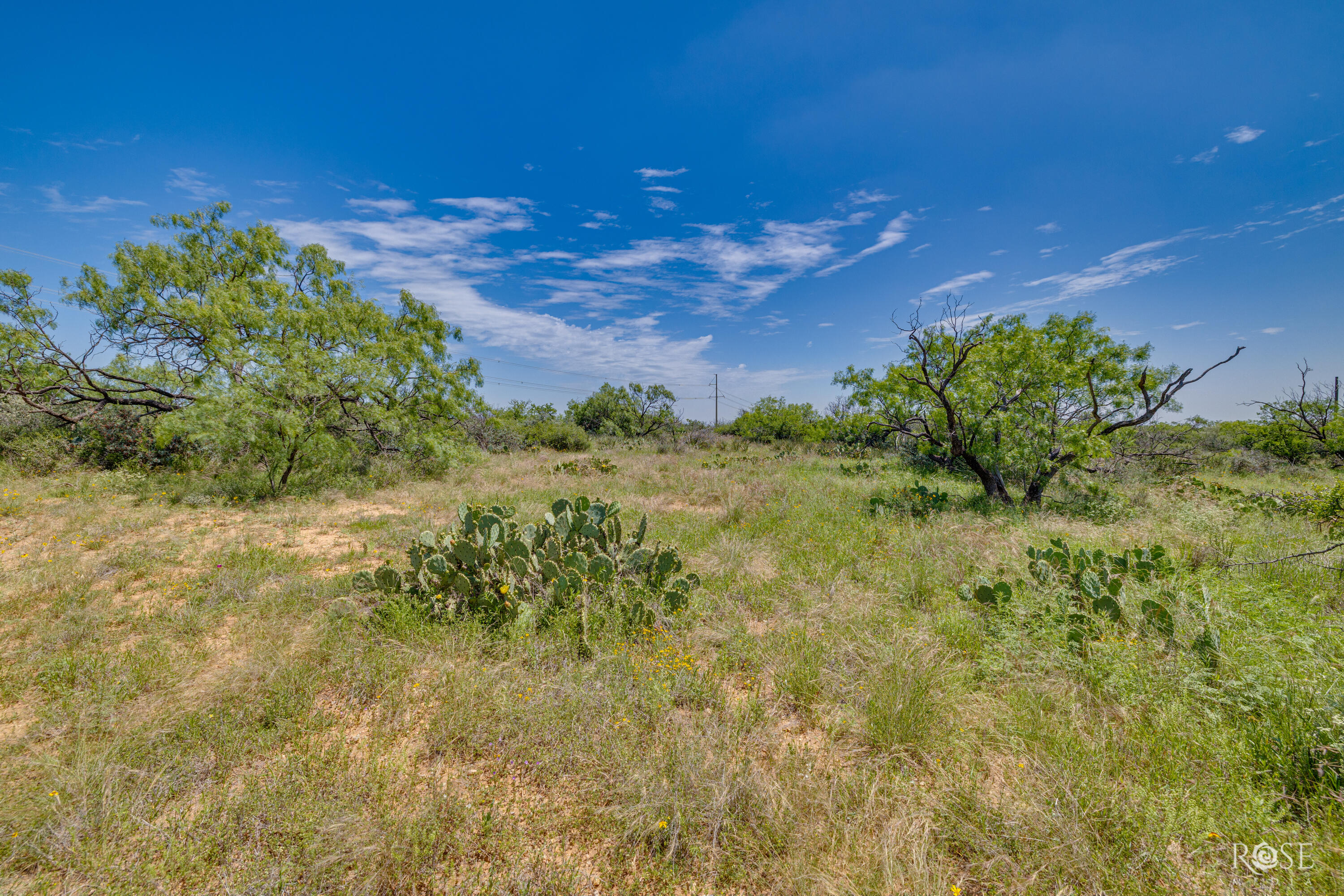 9900 Fm503 Property Photo 32