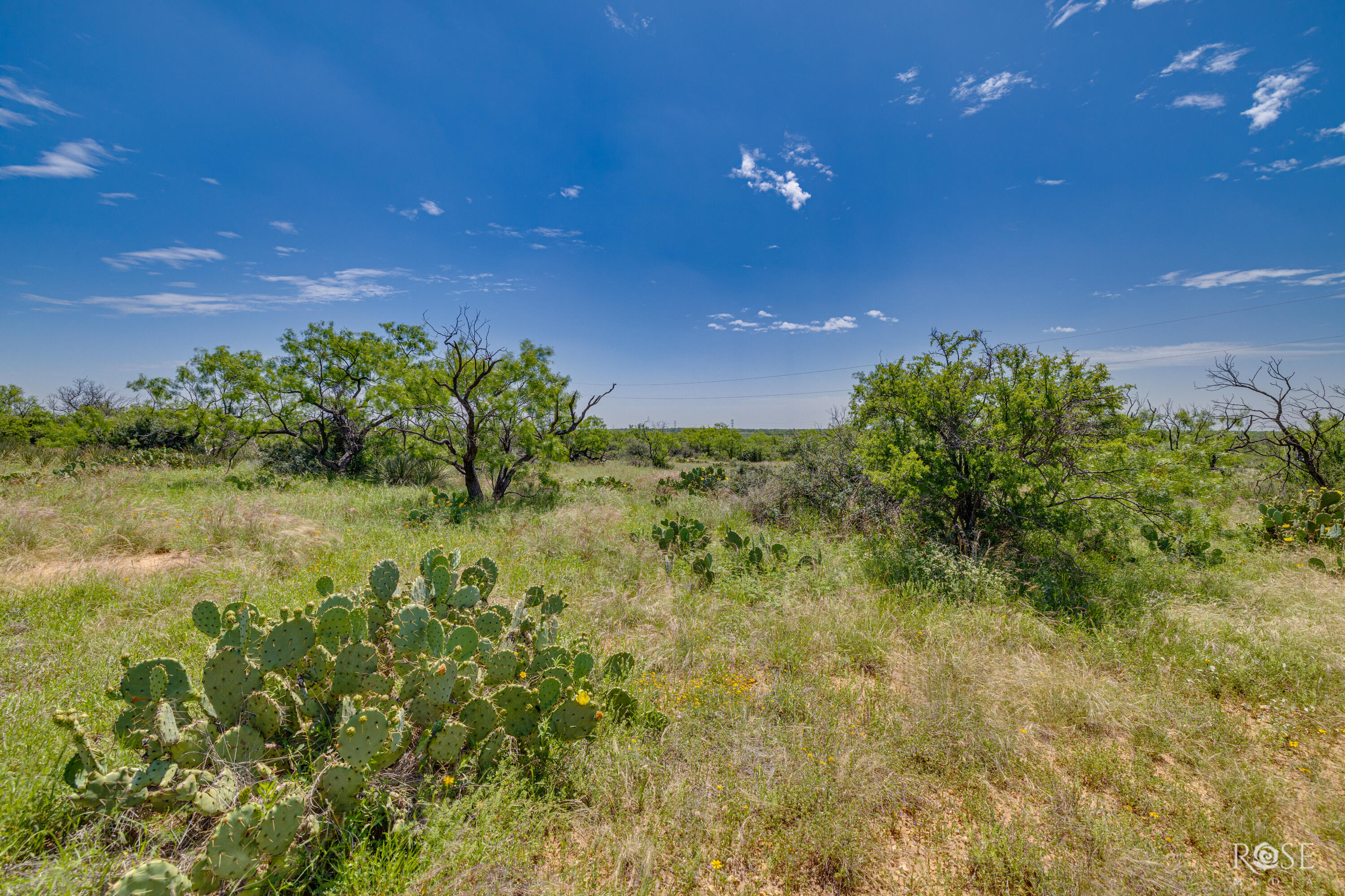 9900 Fm503 Property Photo 33