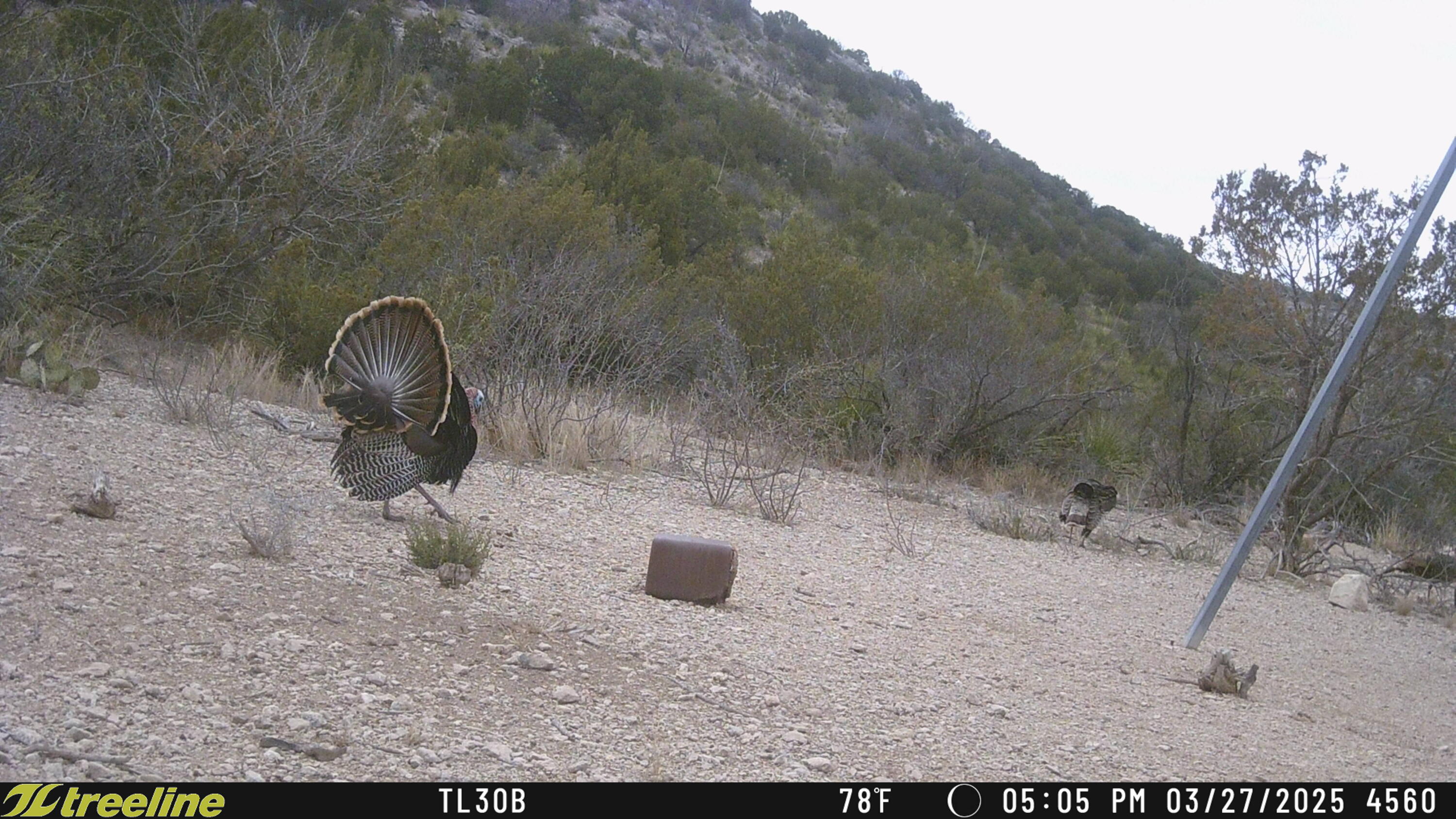 349 Texas 349 Property Photo 9