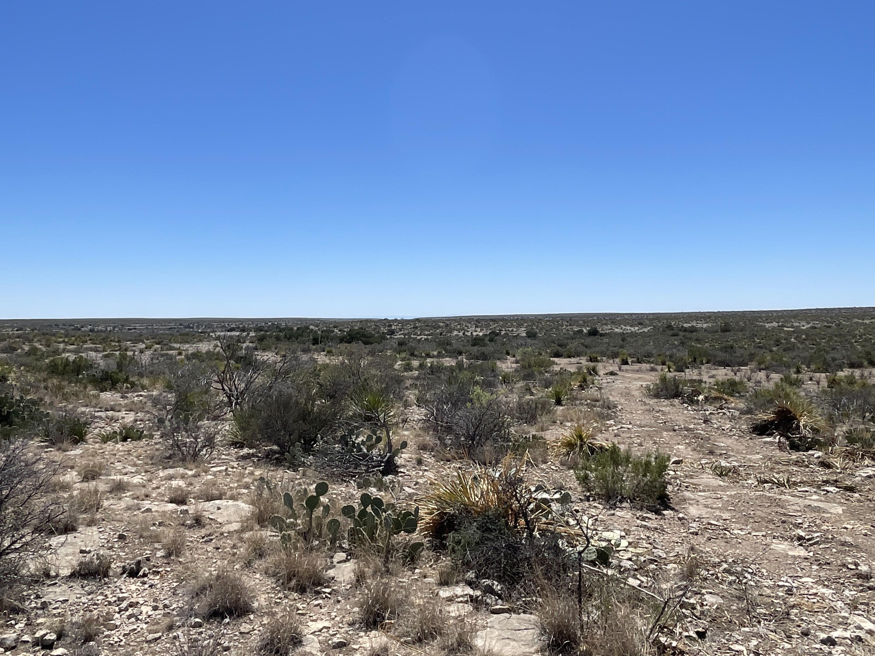 349 Texas 349 Property Photo 29