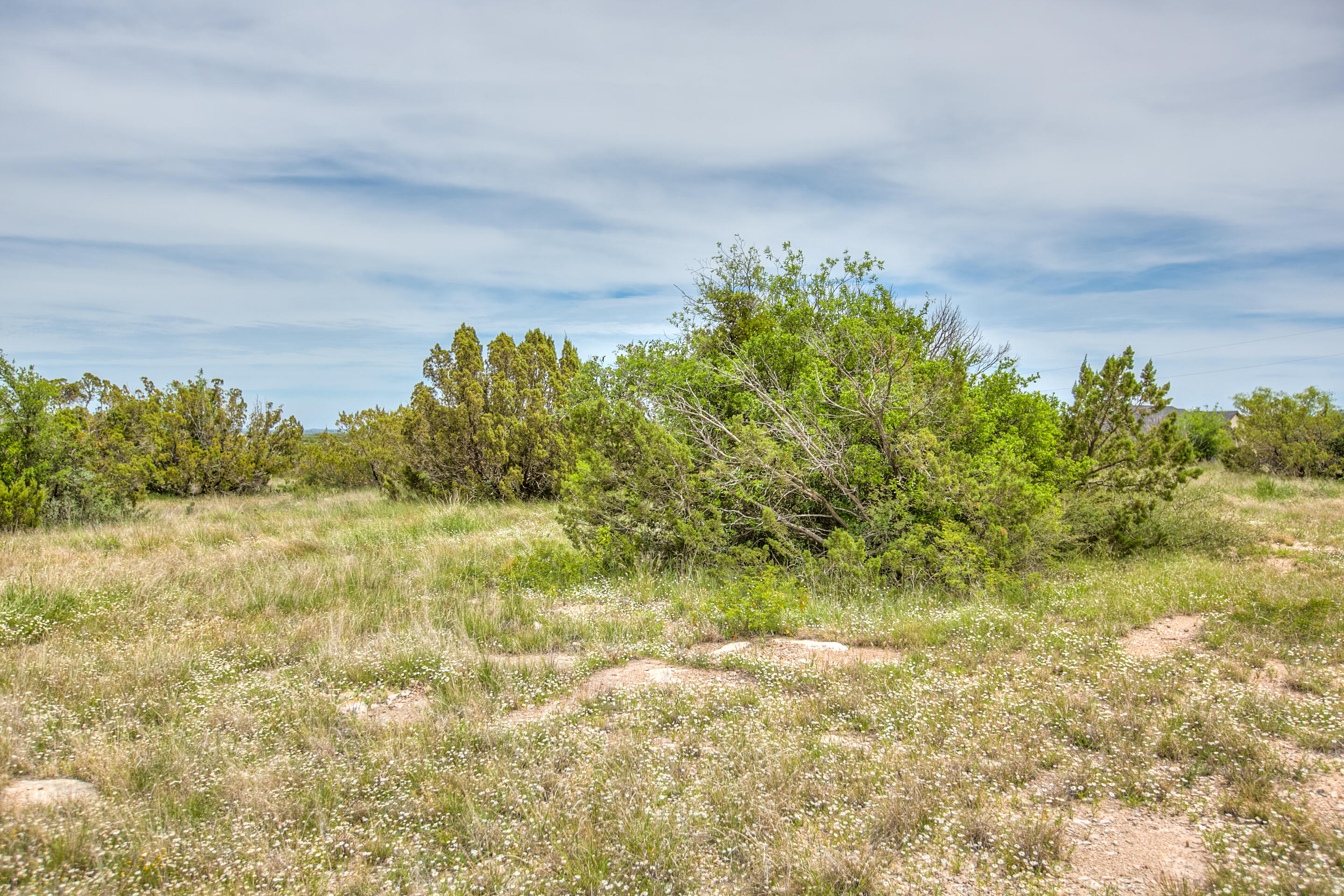 16552 Vaquero Trail Property Photo 34