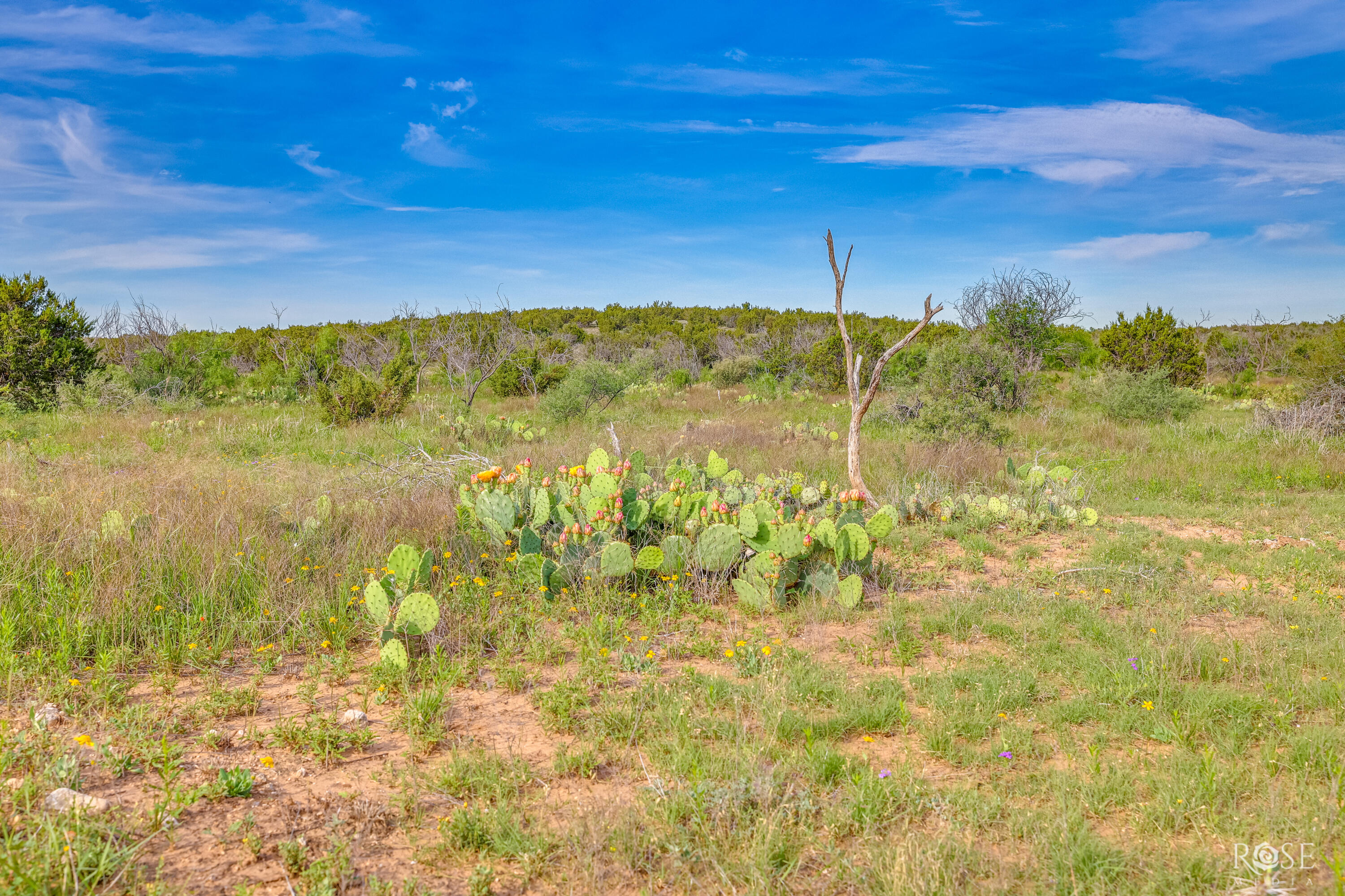 13065 Tx-158 Property Photo 23