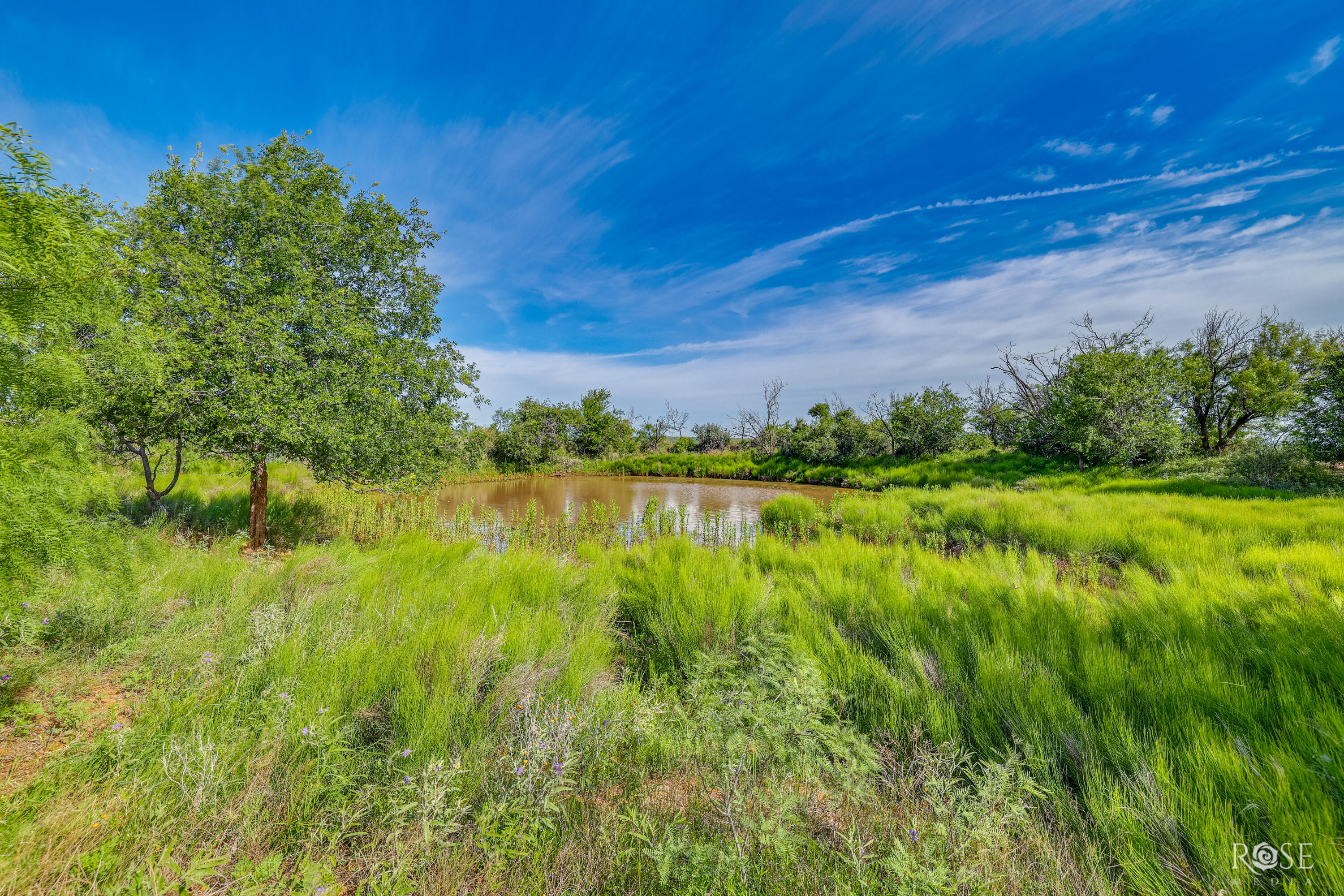 13065 Tx-158 Property Photo 35