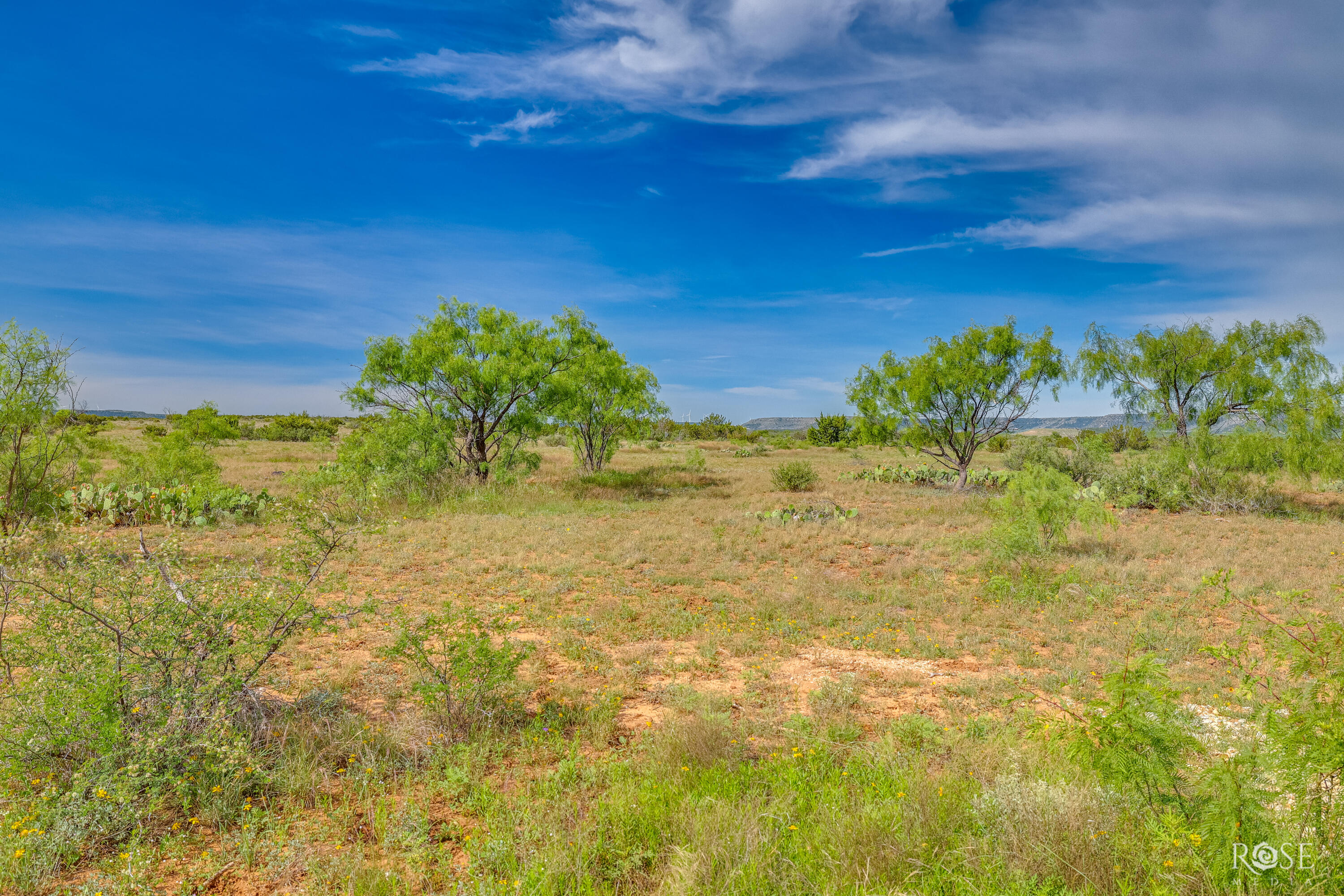 13065 Tx-158 Property Photo 36