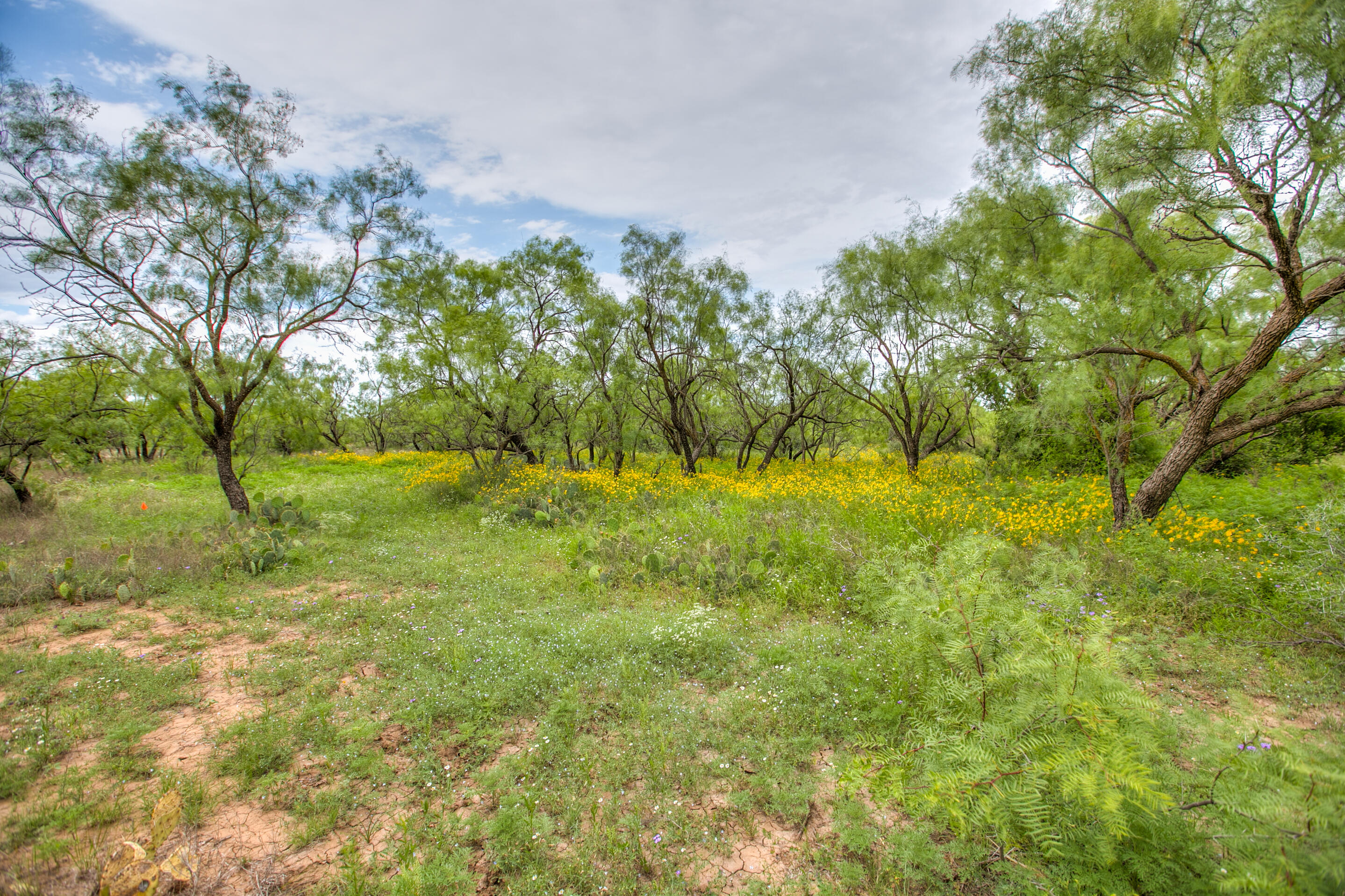 4127 Co Rd 114 Property Photo 6