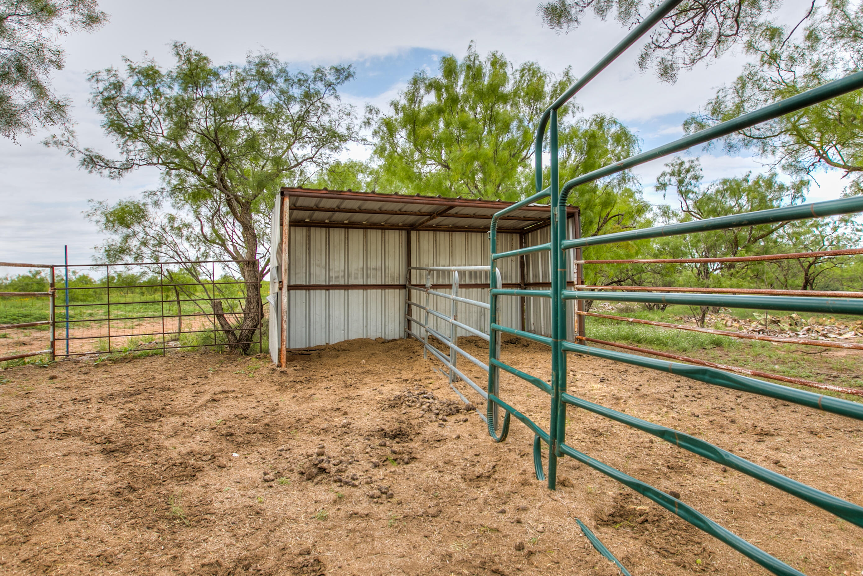 4127 Co Rd 114 Property Photo 9