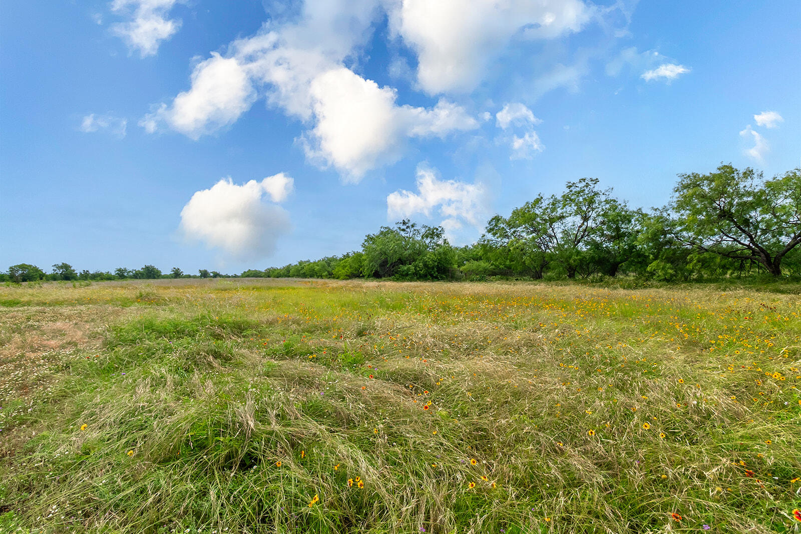 4345 N Us Highway 87 Property Photo 16