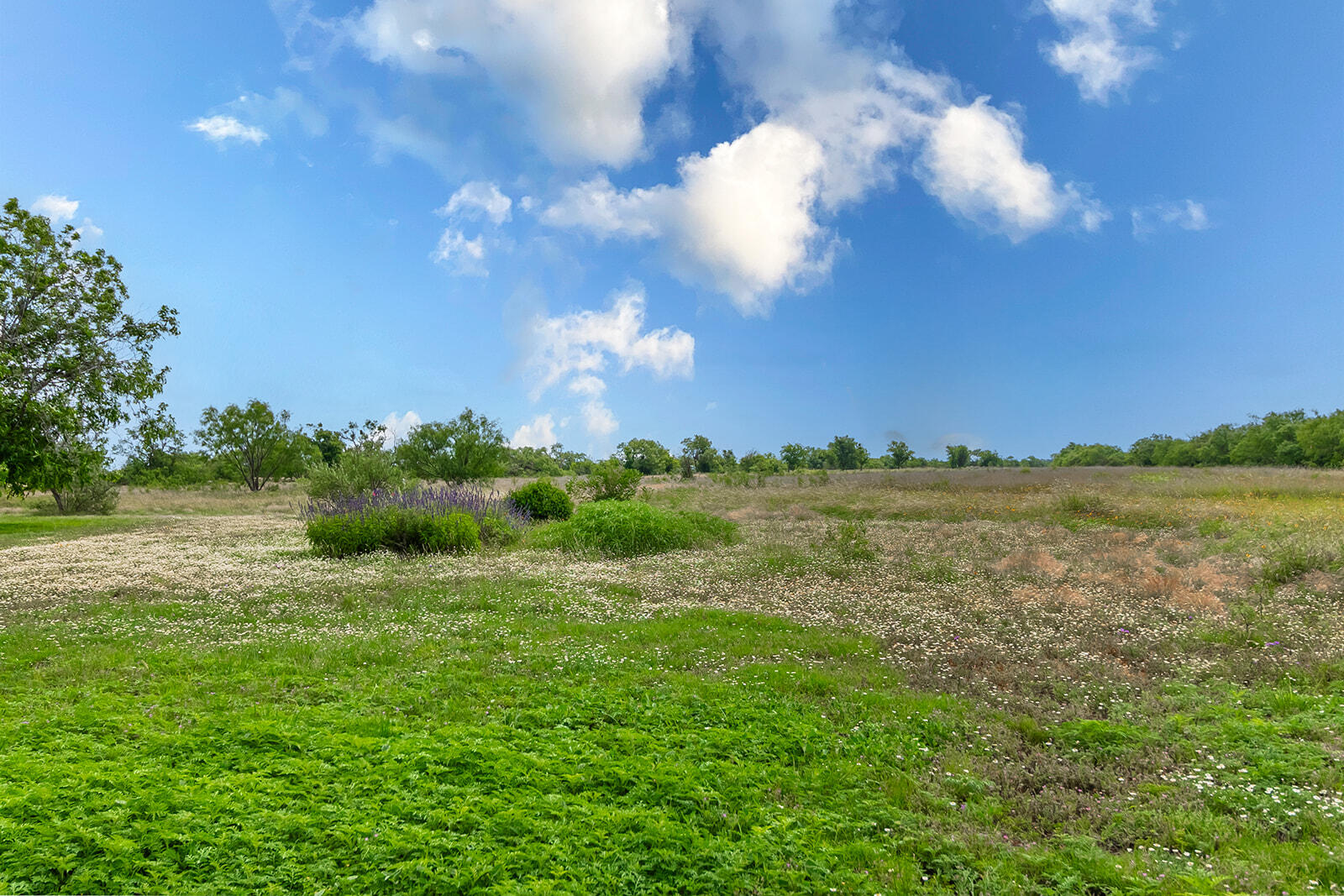 4345 N Us Highway 87 Property Photo 18