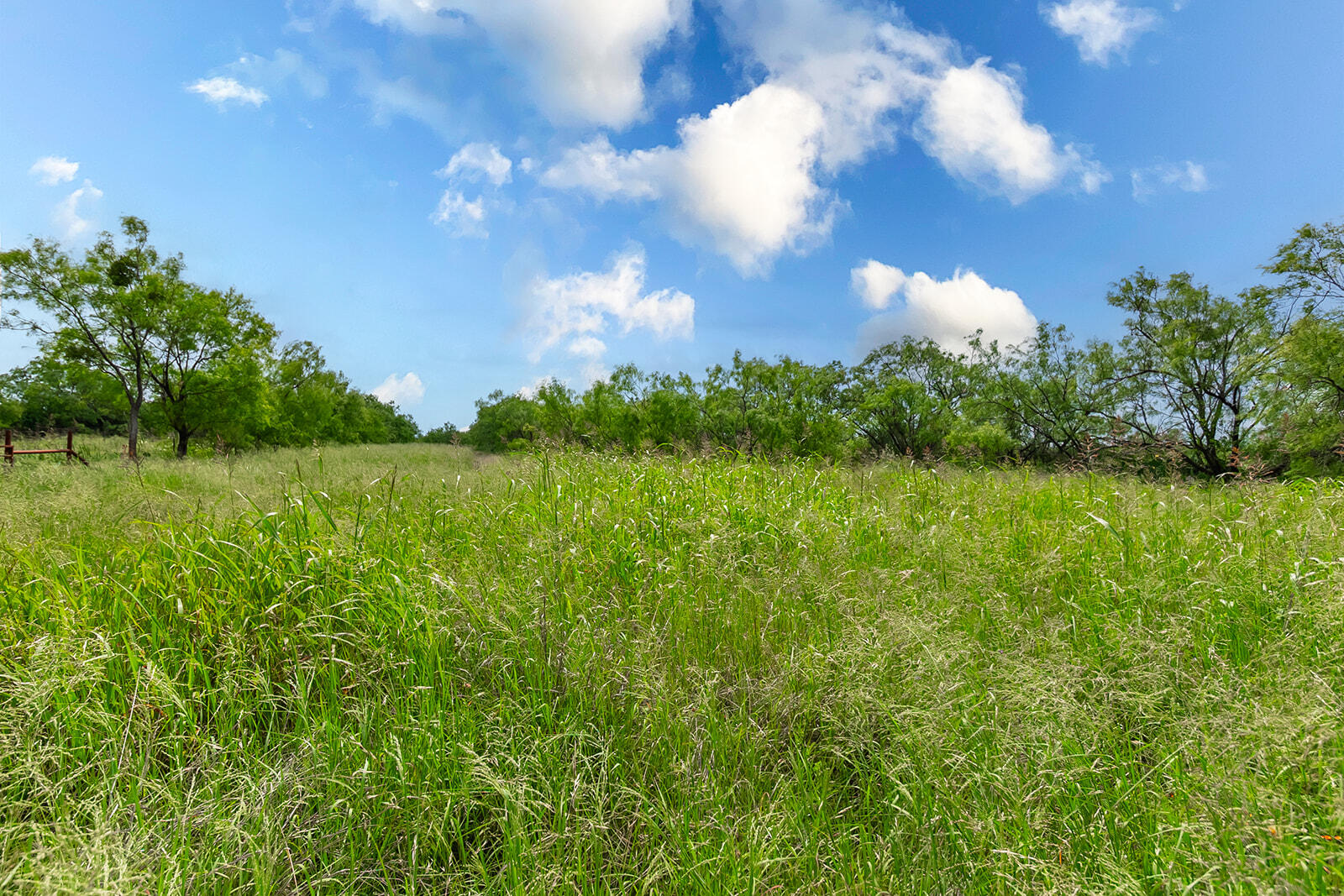 4345 N Us Highway 87 Property Photo 19