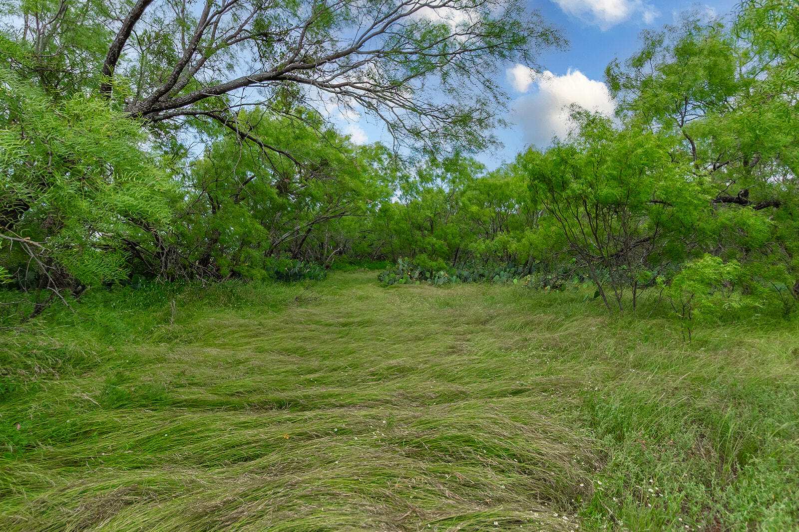 4345 N Us Highway 87 Property Photo 21