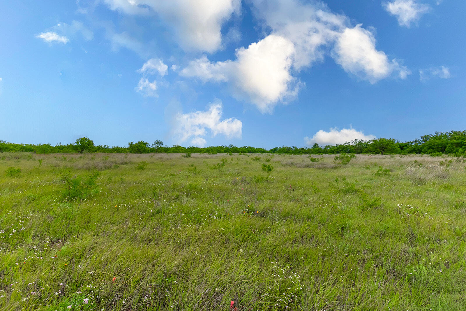 4345 N Us Highway 87 Property Photo 22