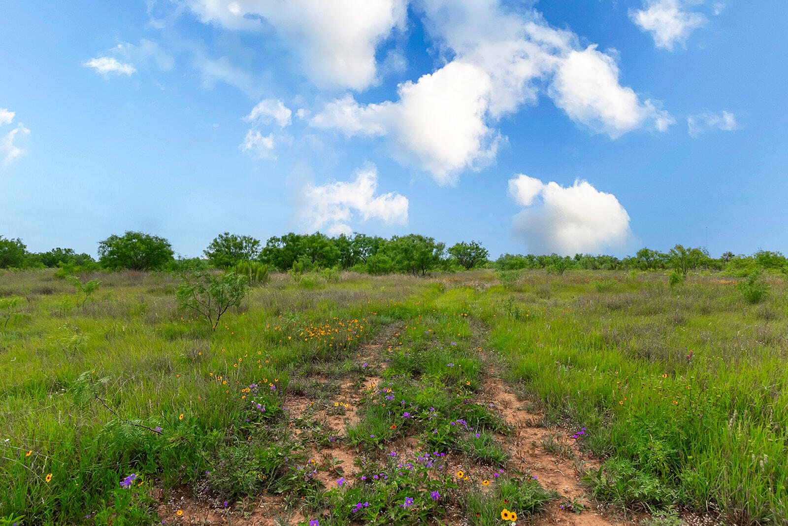 4345 N Us Highway 87 Property Photo 23