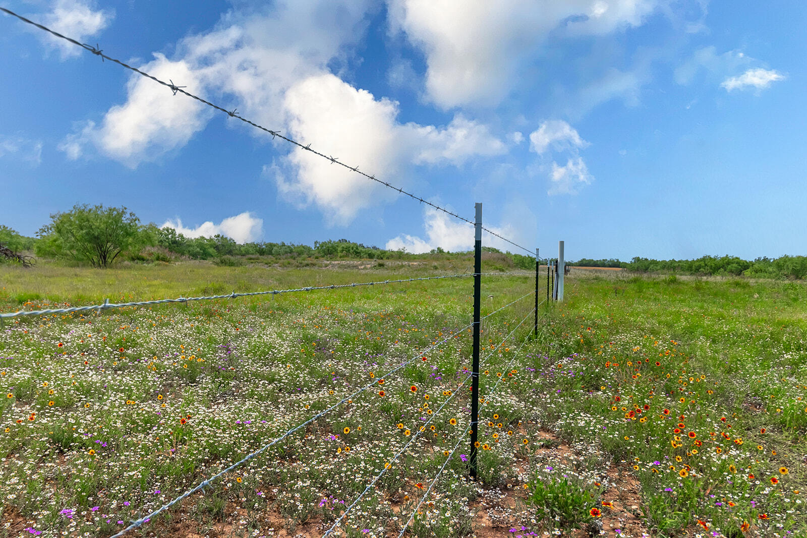 4345 N Us Highway 87 Property Photo 26