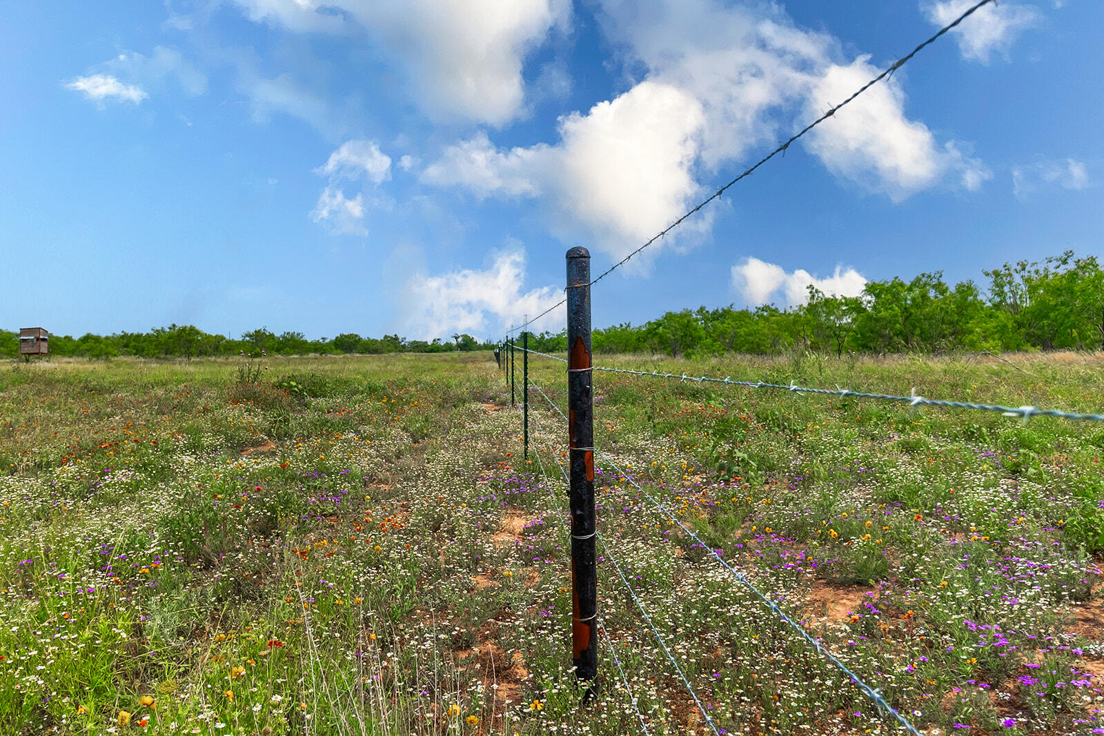 4345 N Us Highway 87 Property Photo 27