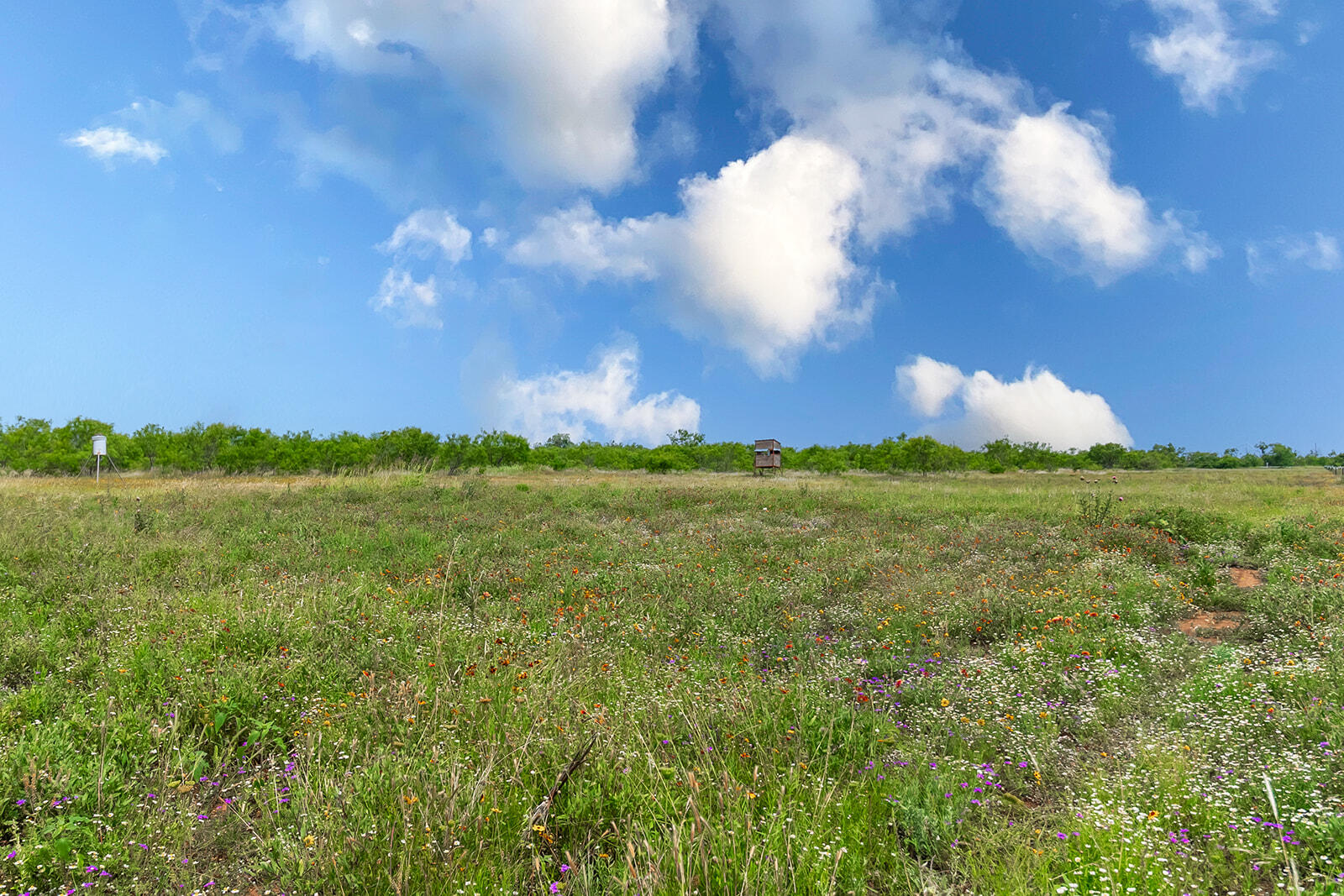 4345 N Us Highway 87 Property Photo 28