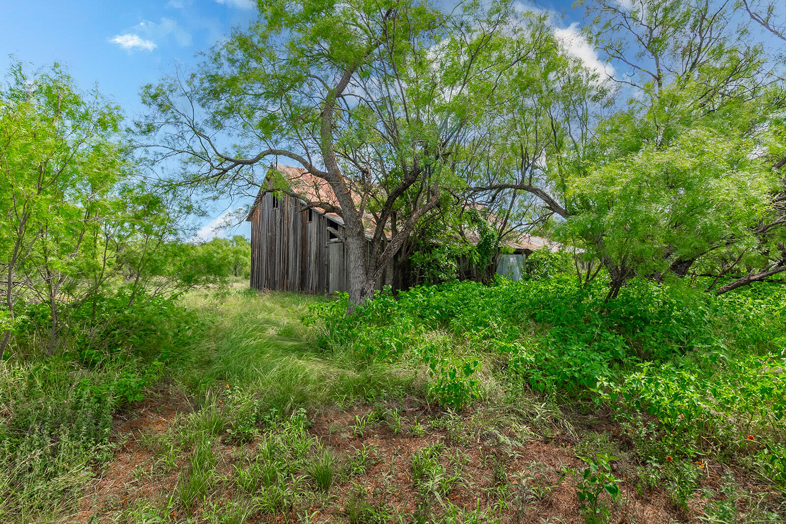 4345 N Us Highway 87 Property Photo 29