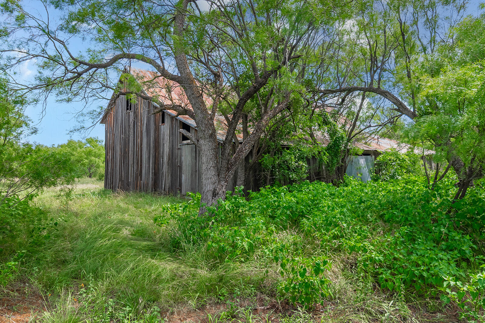4345 N Us Highway 87 Property Photo 30