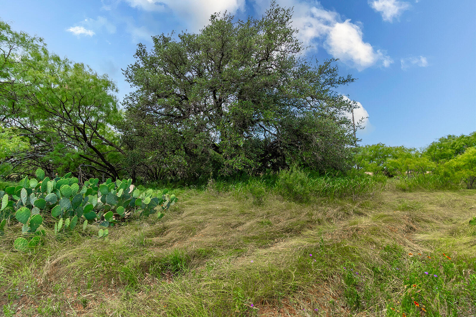 4345 N Us Highway 87 Property Photo 31