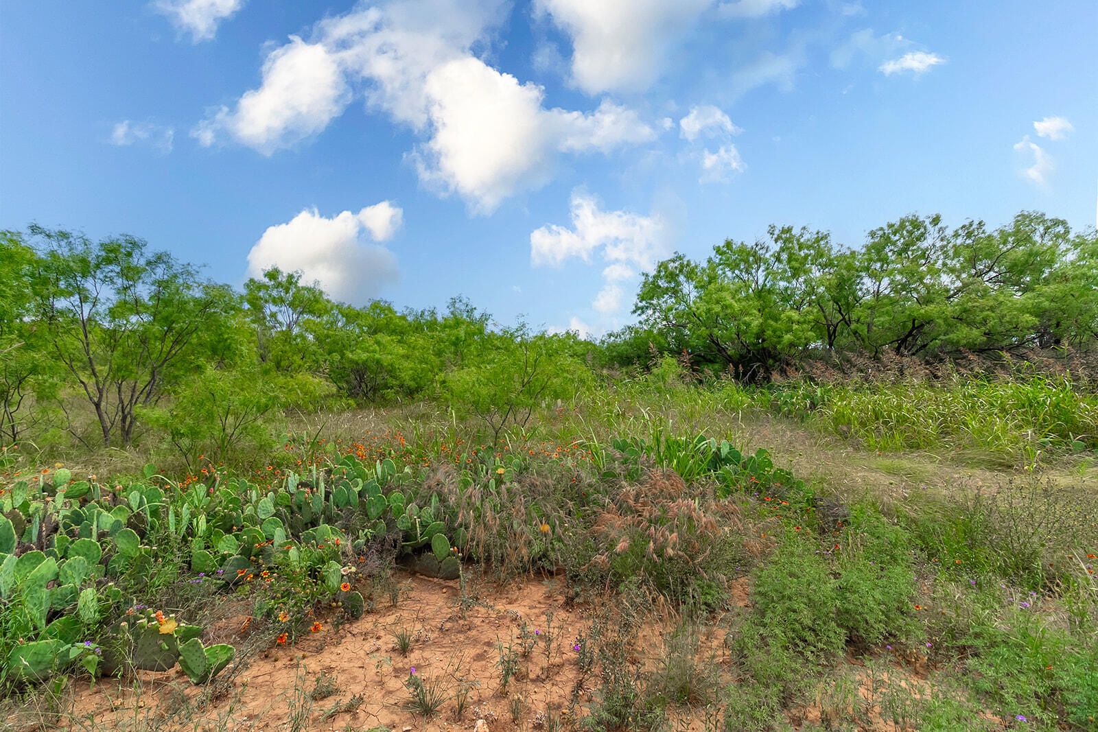 4345 N Us Highway 87 Property Photo 32