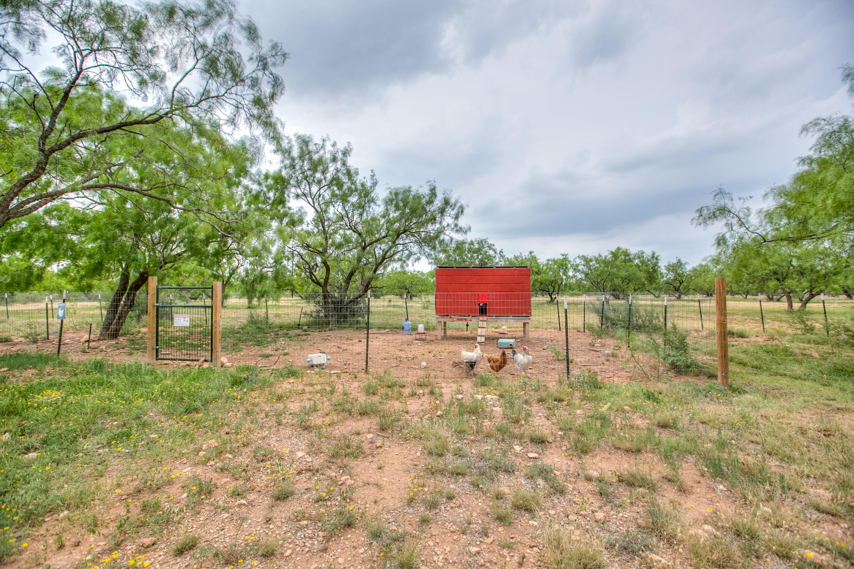 7920 Bison Trail Property Photo 41