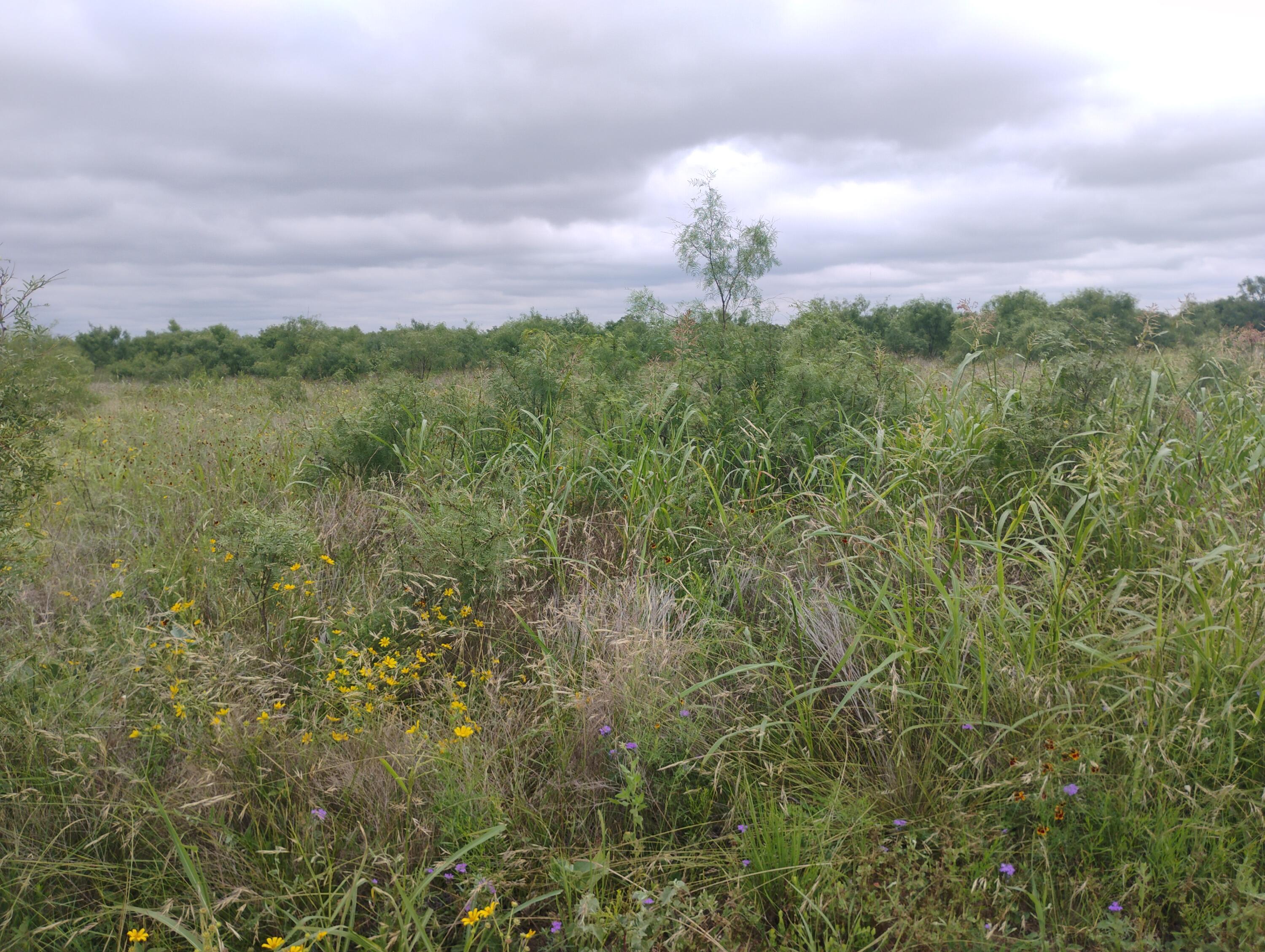 0 N Highway 87 Us Highway Property Photo 2